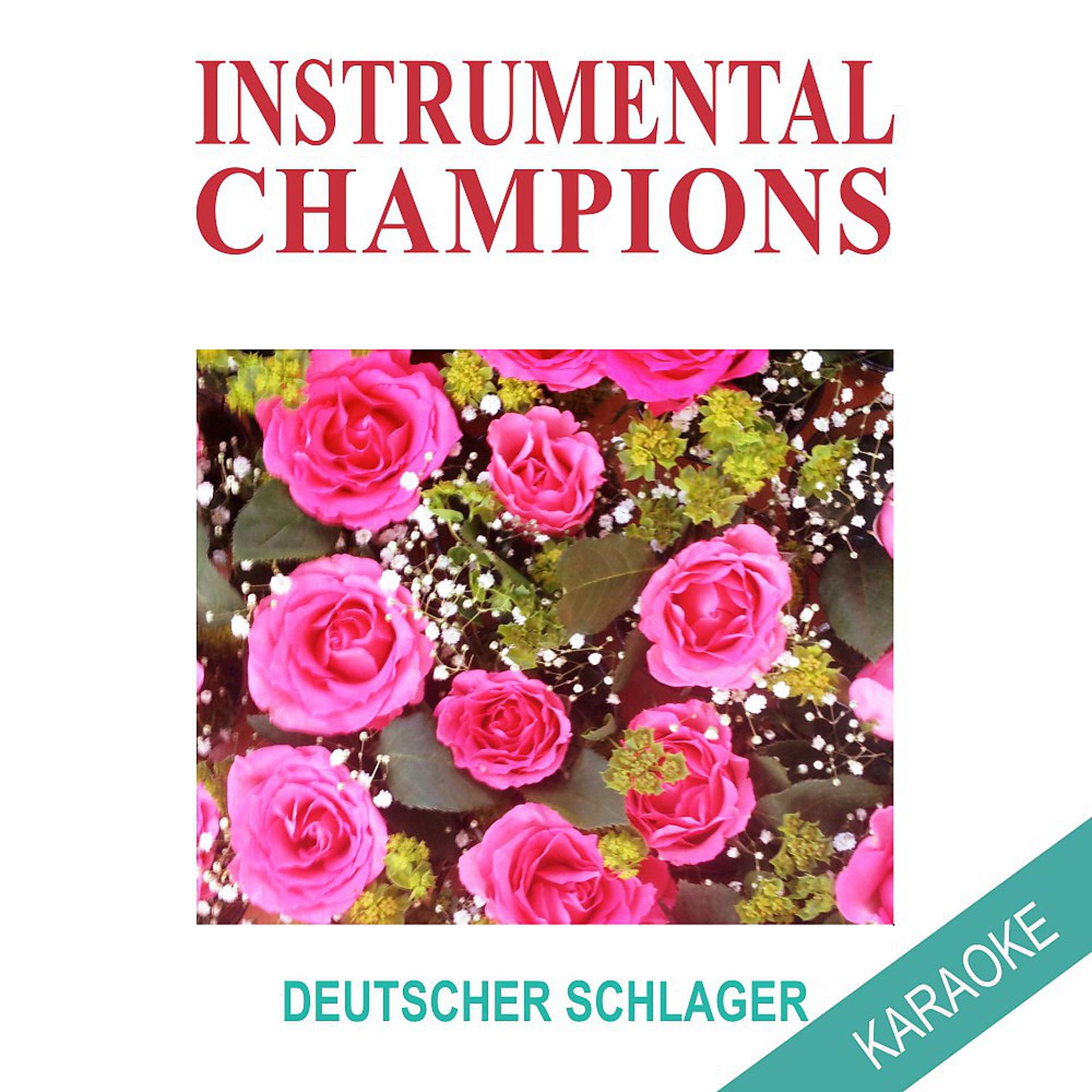 Постер альбома Deutscher Schlager Karaoke