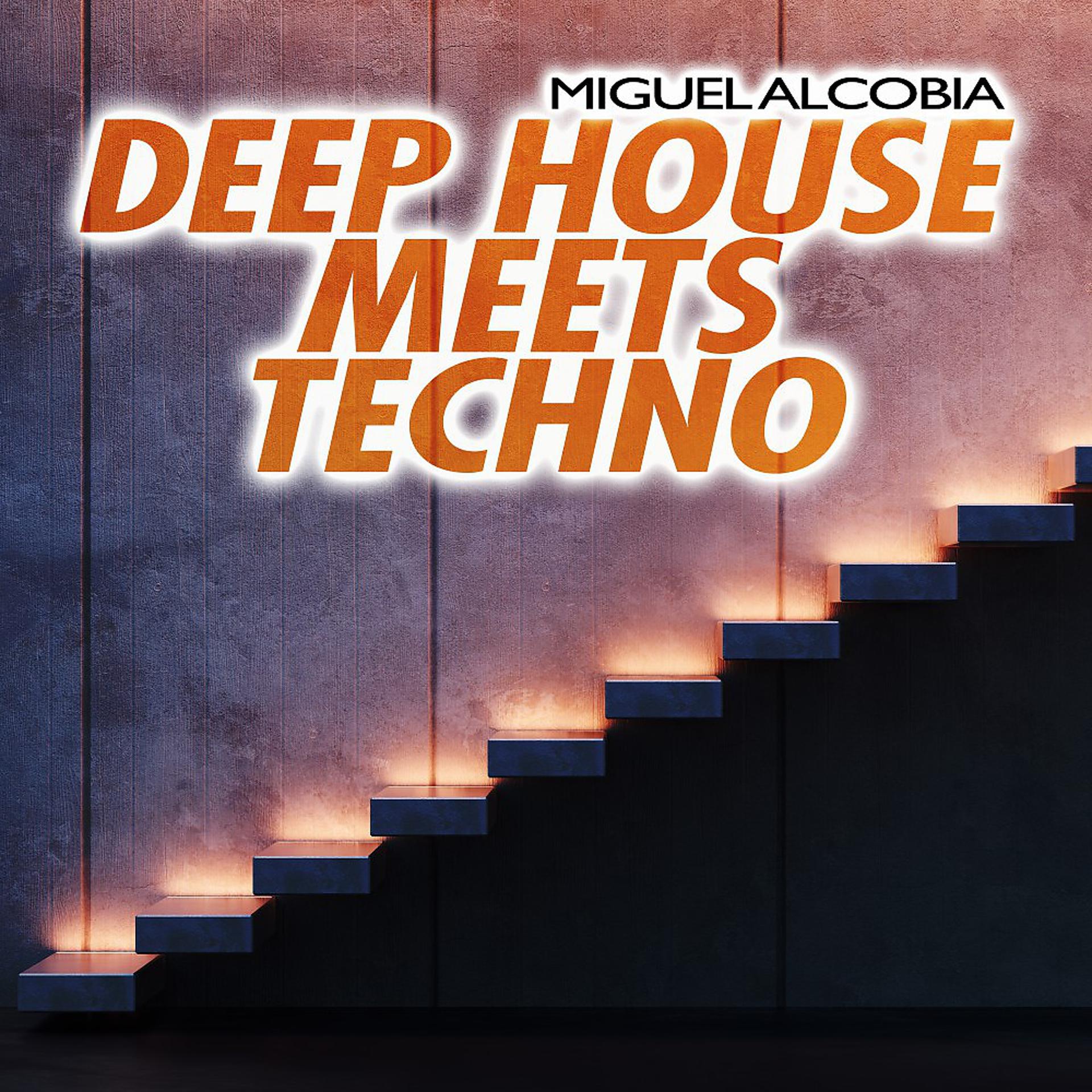Постер альбома Deep House Meets Techno