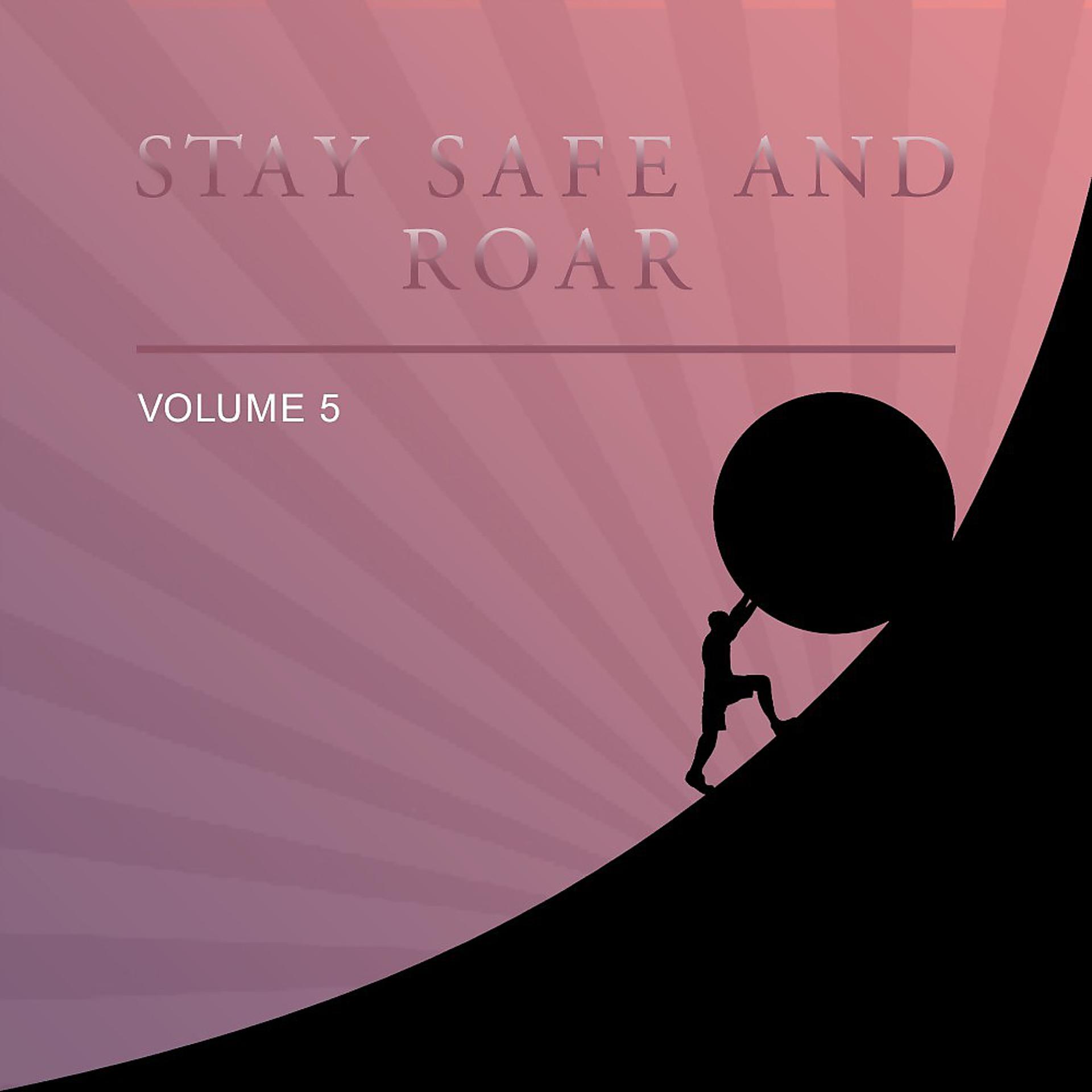Постер альбома Stay Safe and Roar, Vol. 5