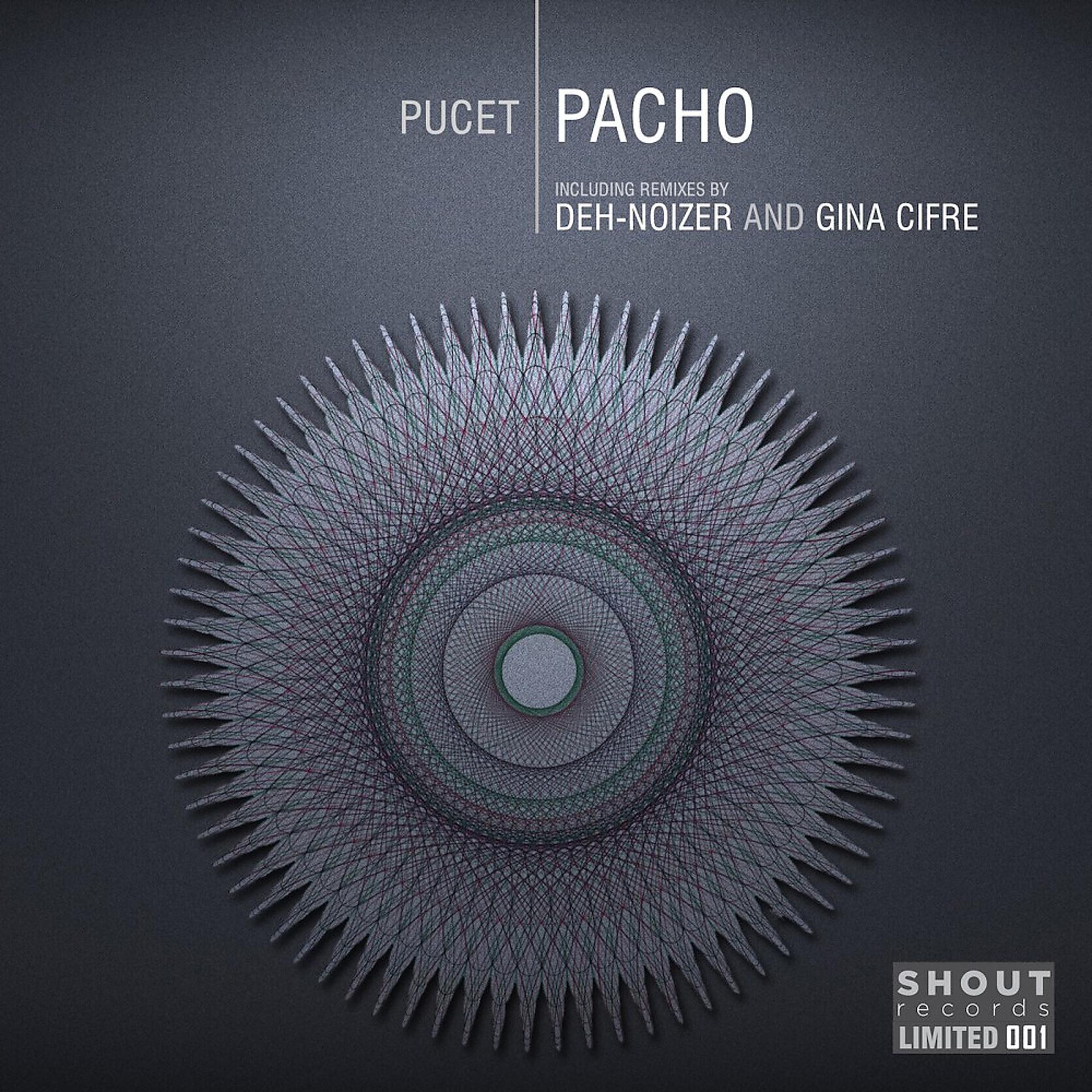 Постер альбома Pacho