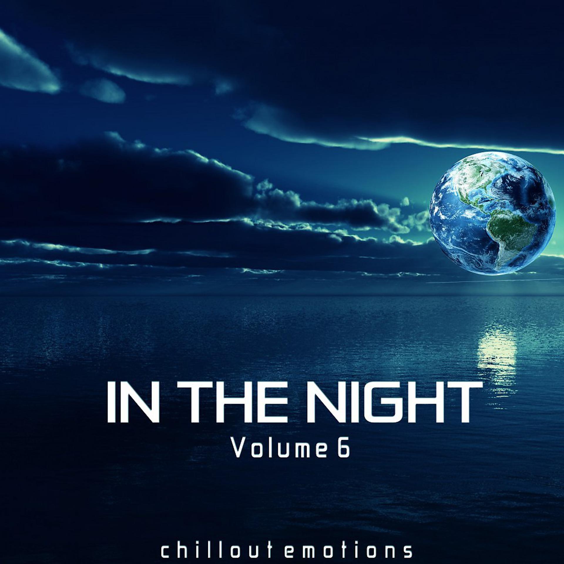 Постер альбома In the Night, Vol. 6 (Chillout Emotions)