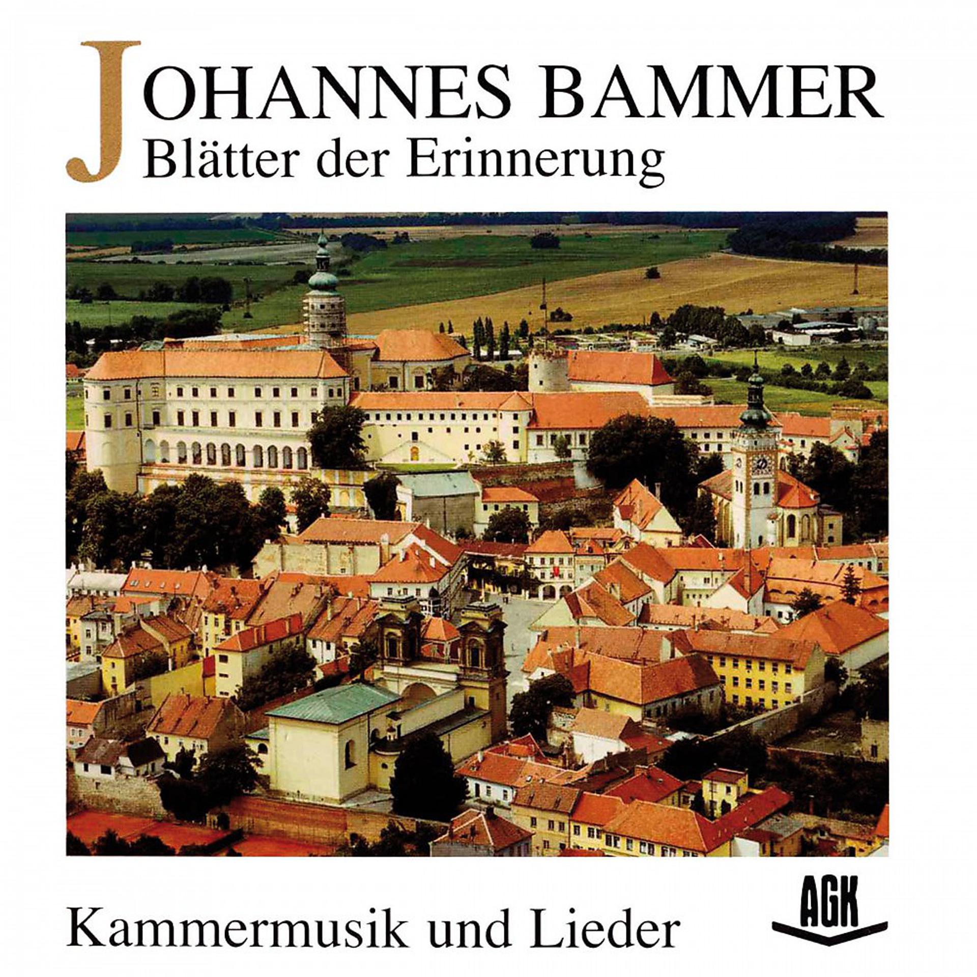 Постер альбома Johannes Bammer - Blätter der Erinnerung