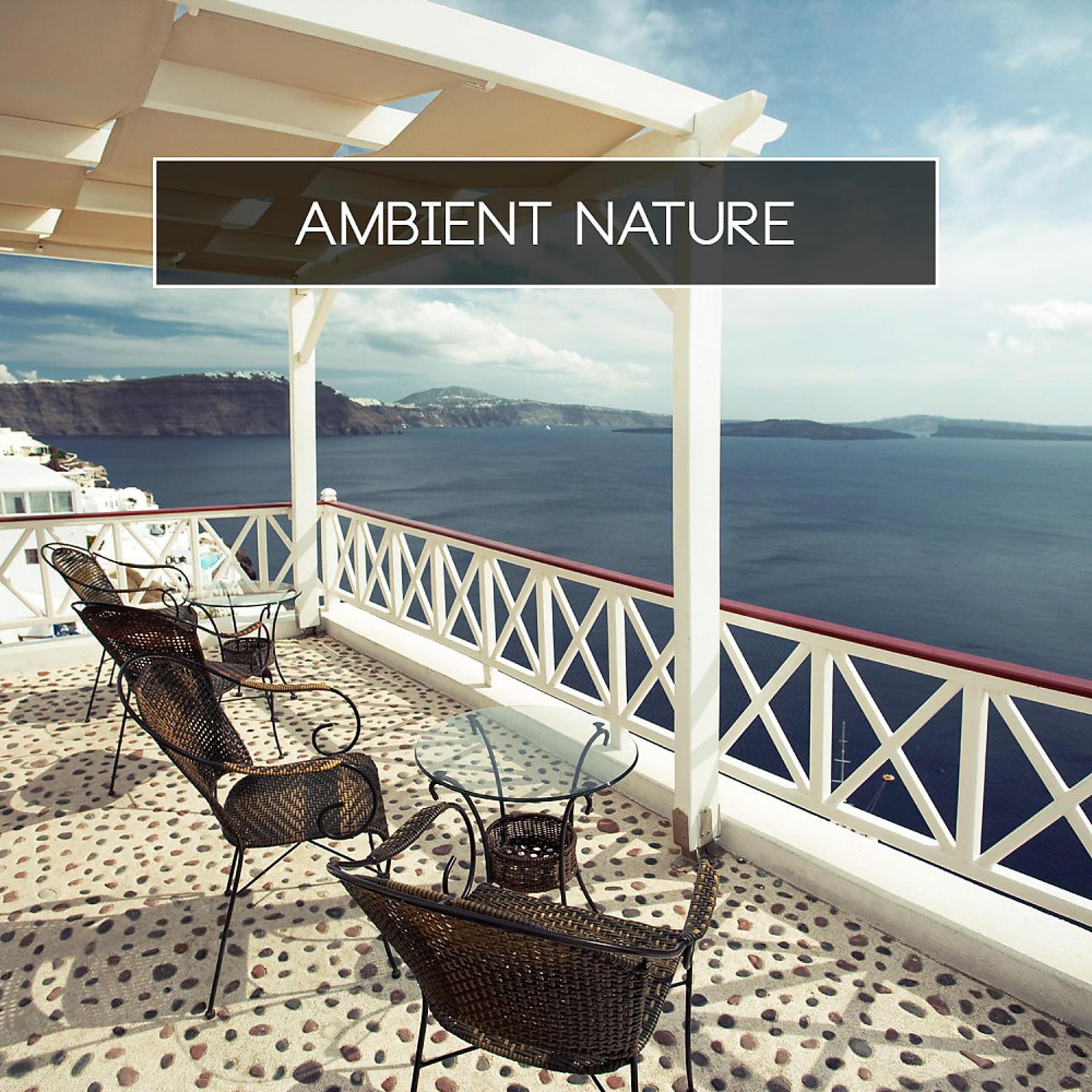 Постер альбома Ambient Nature
