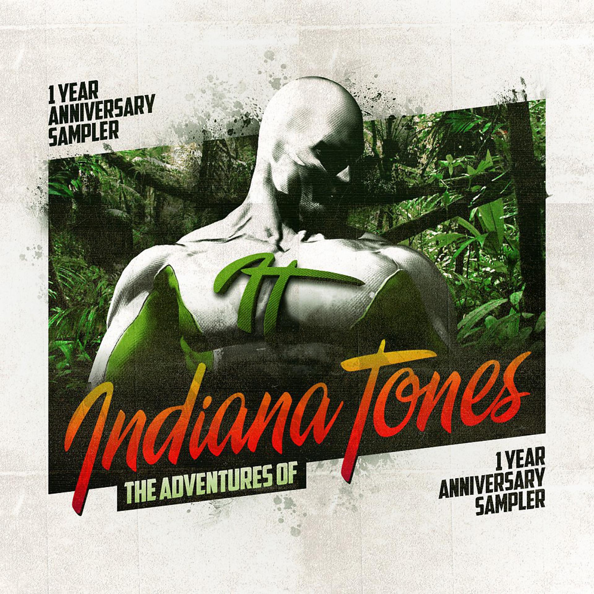 Постер альбома The Adventures of Indiana Tones
