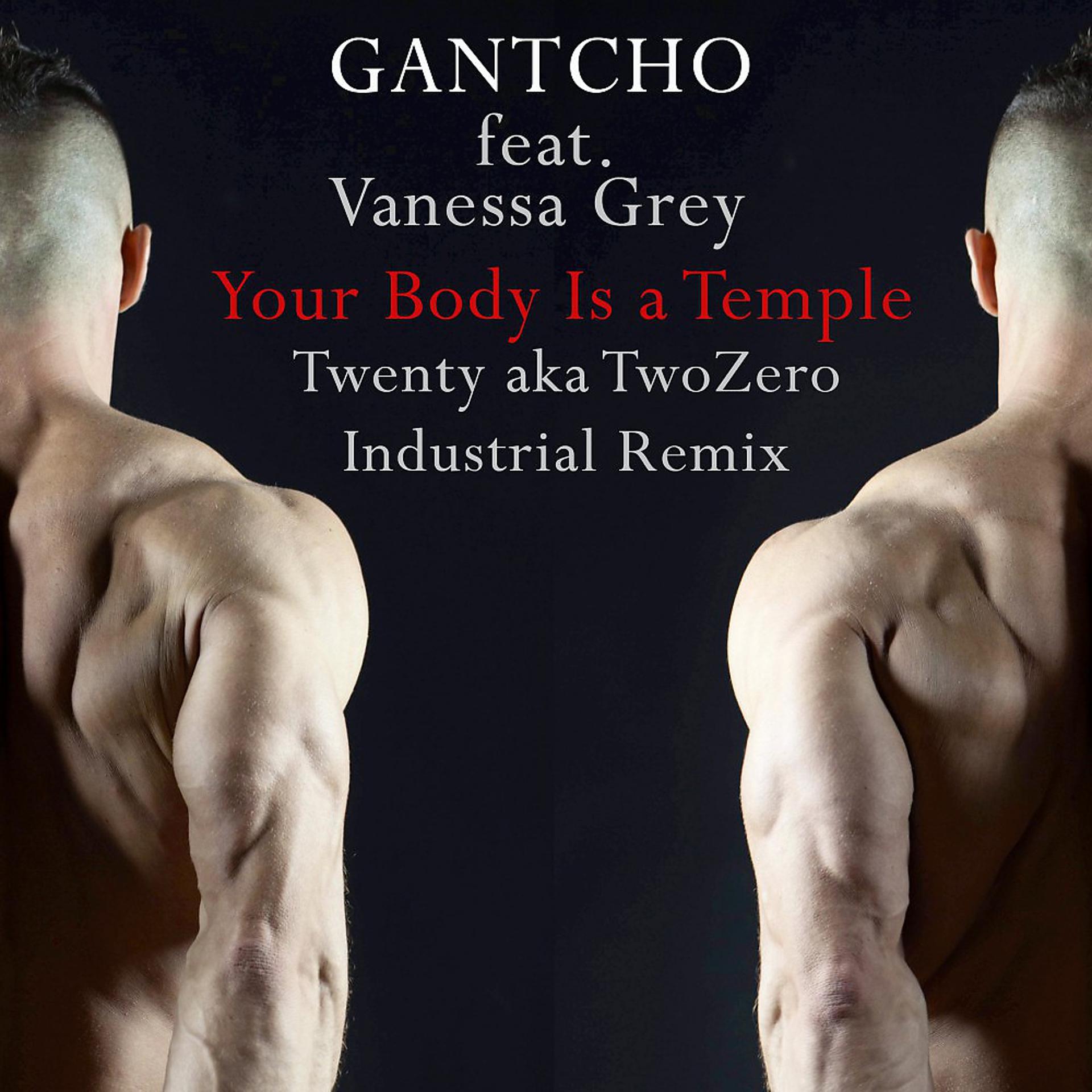 Постер альбома Your Body Is a Temple (Twenty A.K.A. Twozero Industrial Remix)