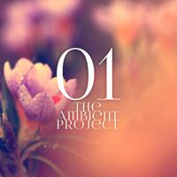 Постер альбома The Ambient Project, Vol. 1