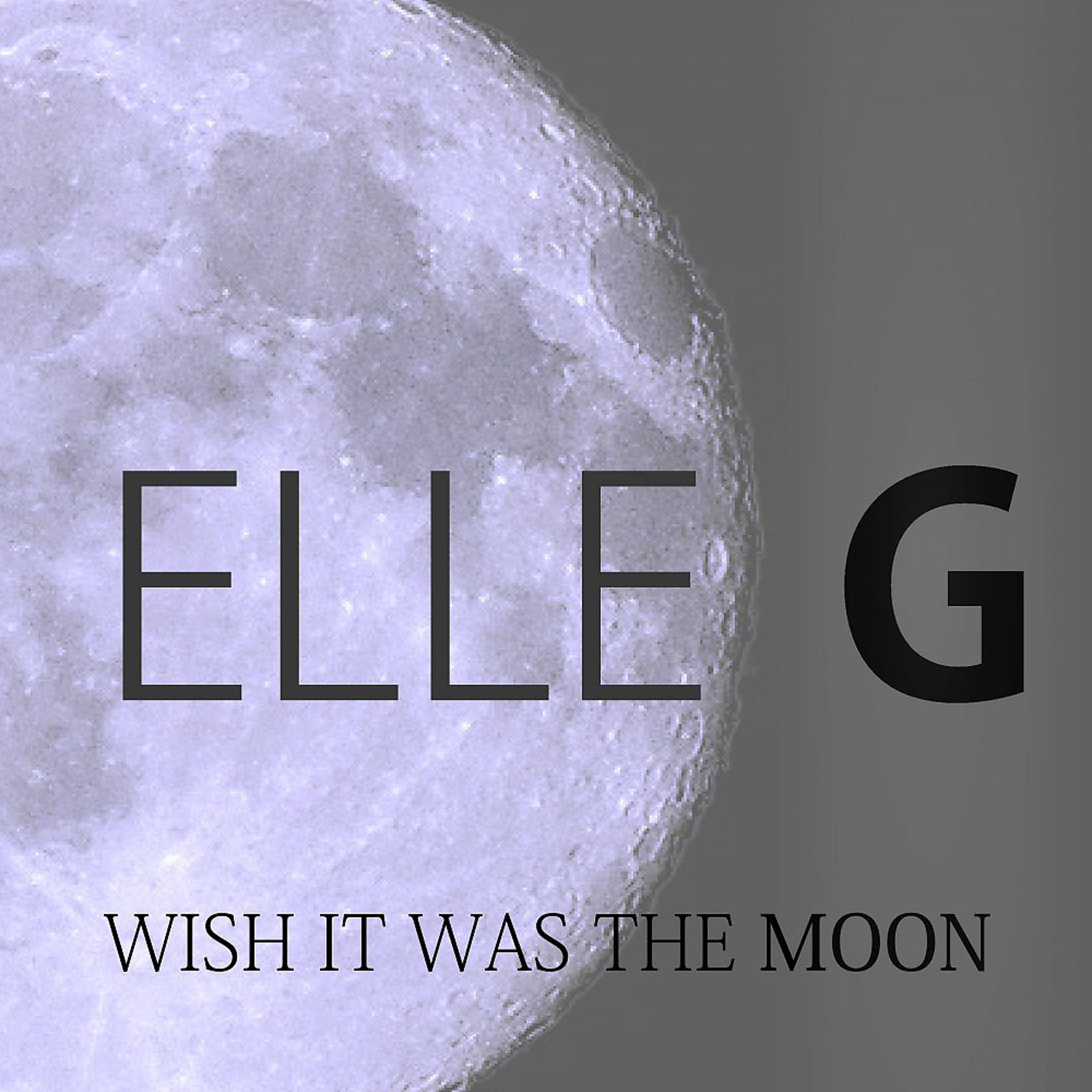 Постер альбома Wish It Was the Moon