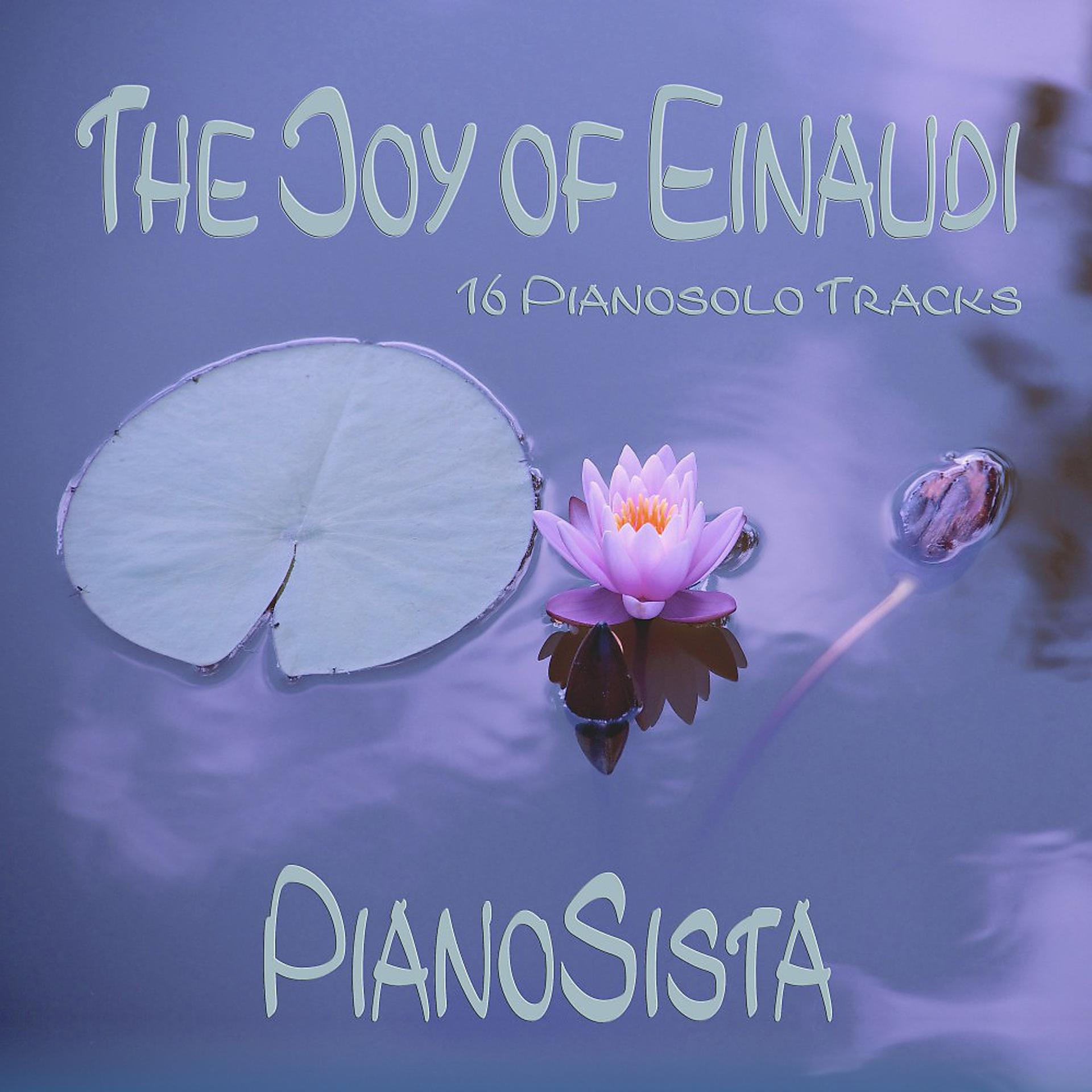 Постер альбома The Joy of Einaudi (16 Pianosolo Tracks)