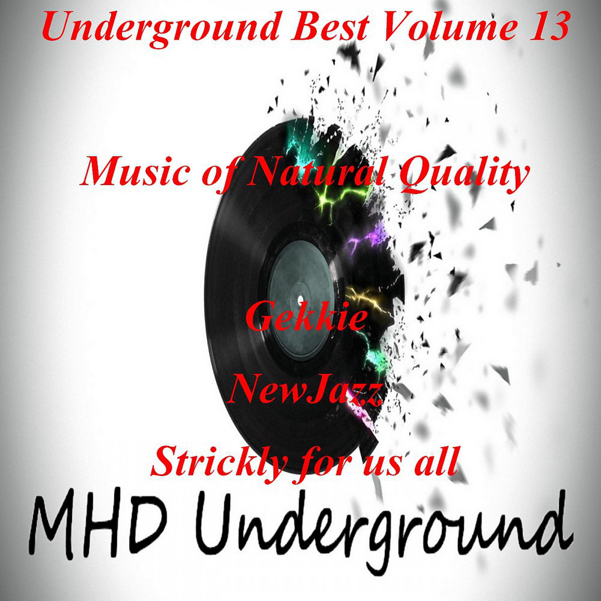 Постер альбома Undergound Best, Vol. 13