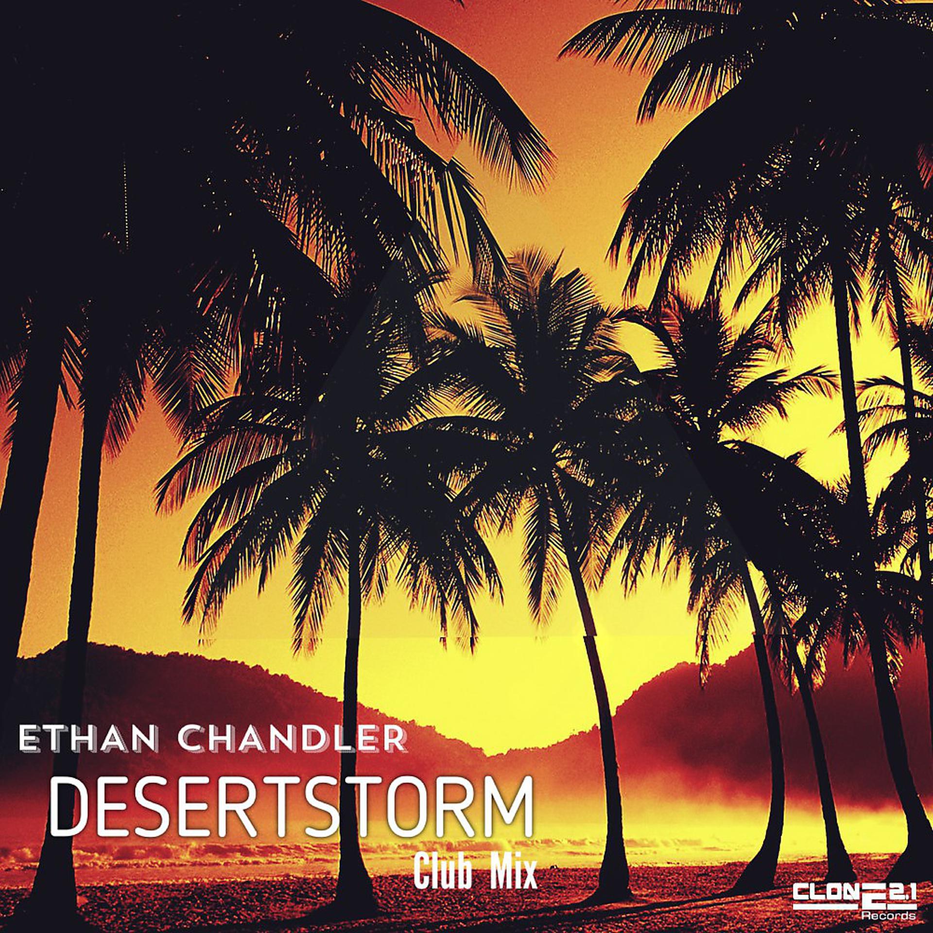 Постер альбома Desertstorm (Club Mix)
