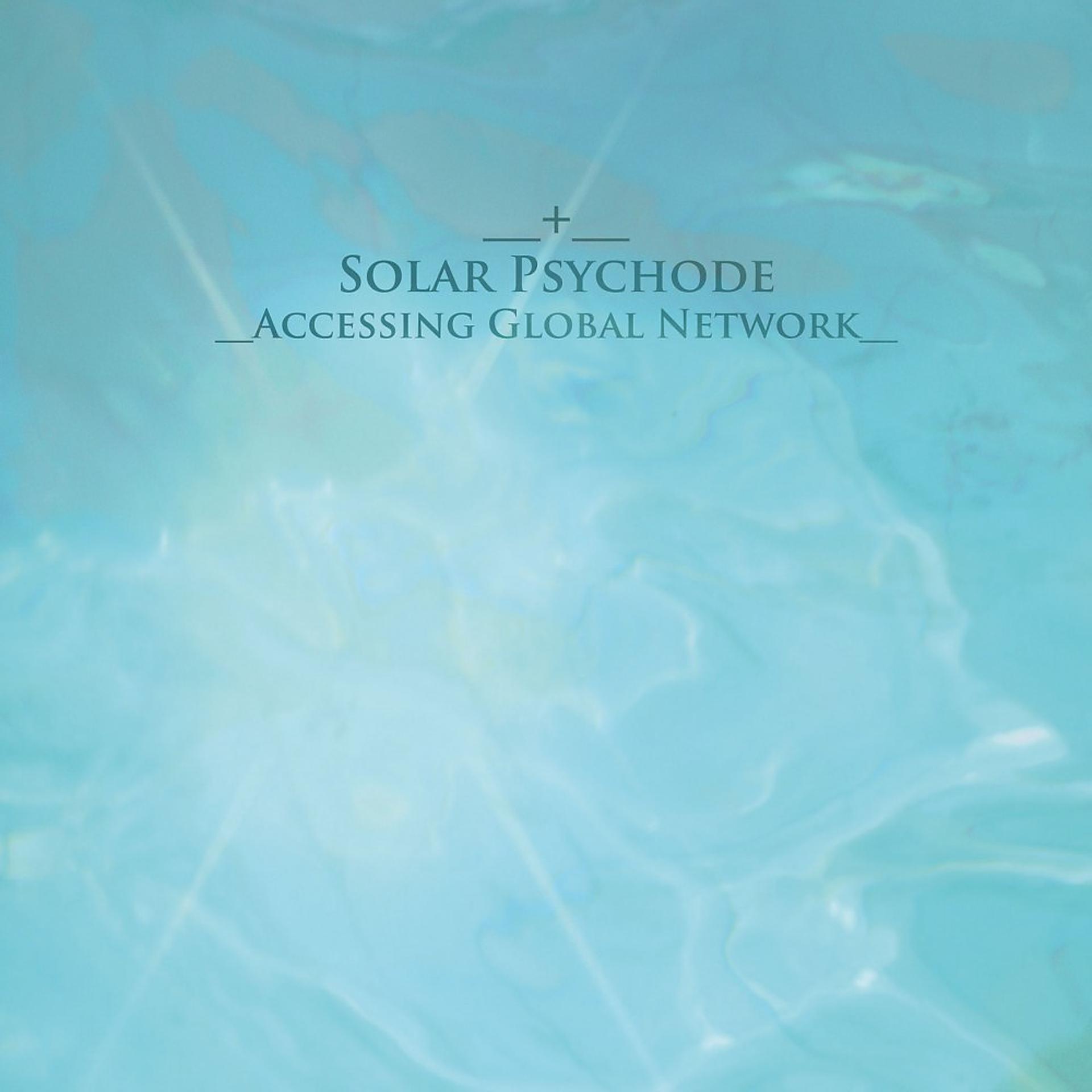 Постер альбома Accessing Global Network