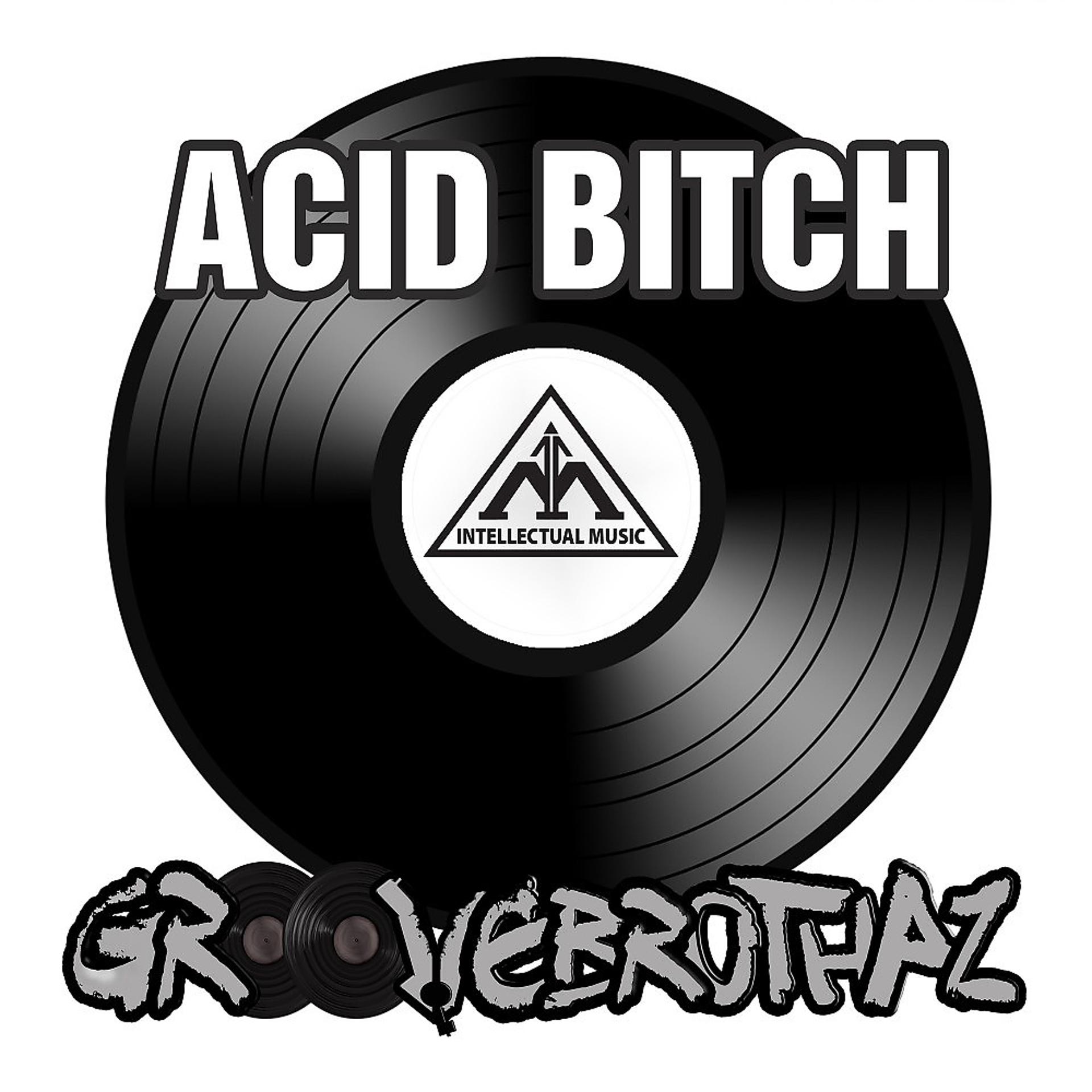 Постер альбома Acid Bitch