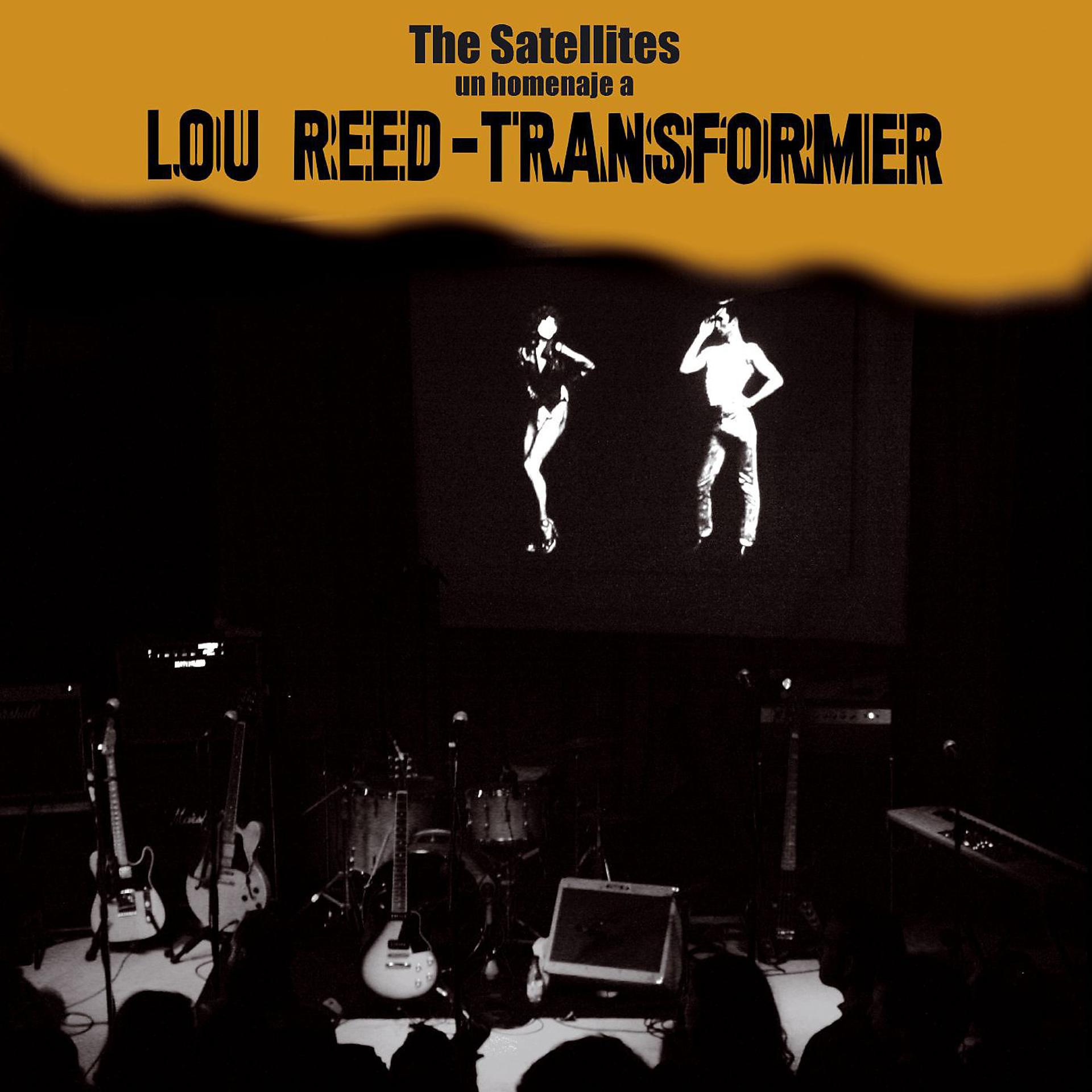 Постер альбома Transformer - Un homenaje a Lou Reed