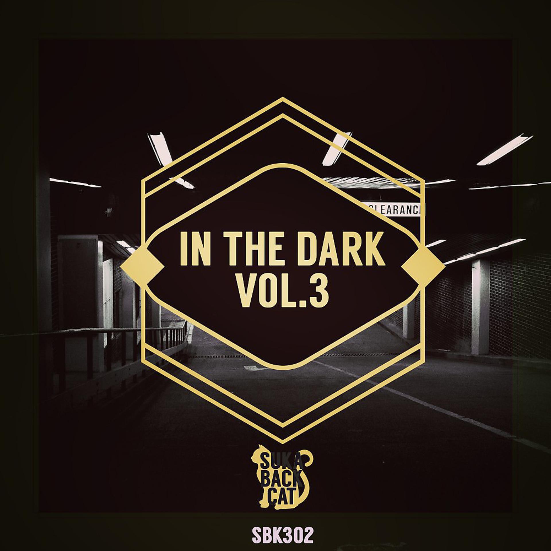 Постер альбома In the Dark, Vol. 3