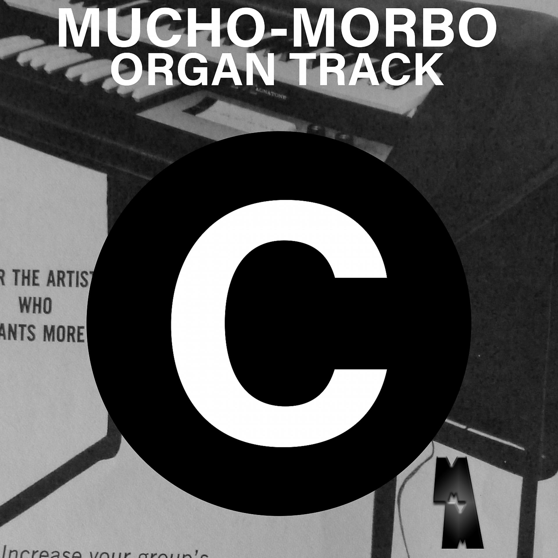 Постер альбома Organ Track