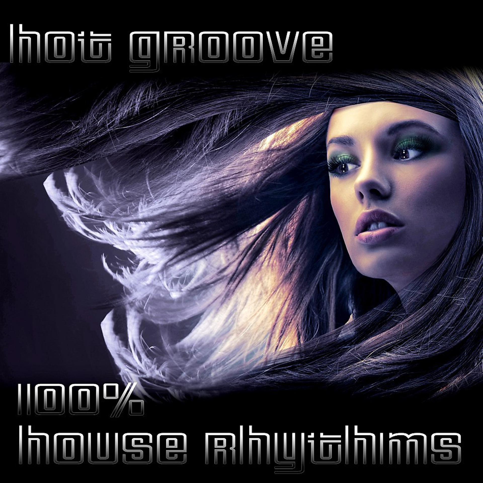 Постер альбома Hot Groove (100% House Rhythms)