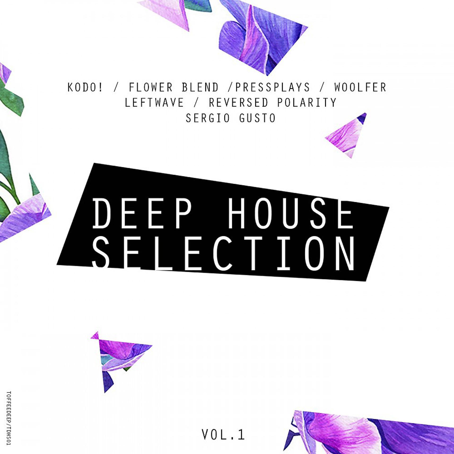Постер альбома Deep House Selection Vol. 1