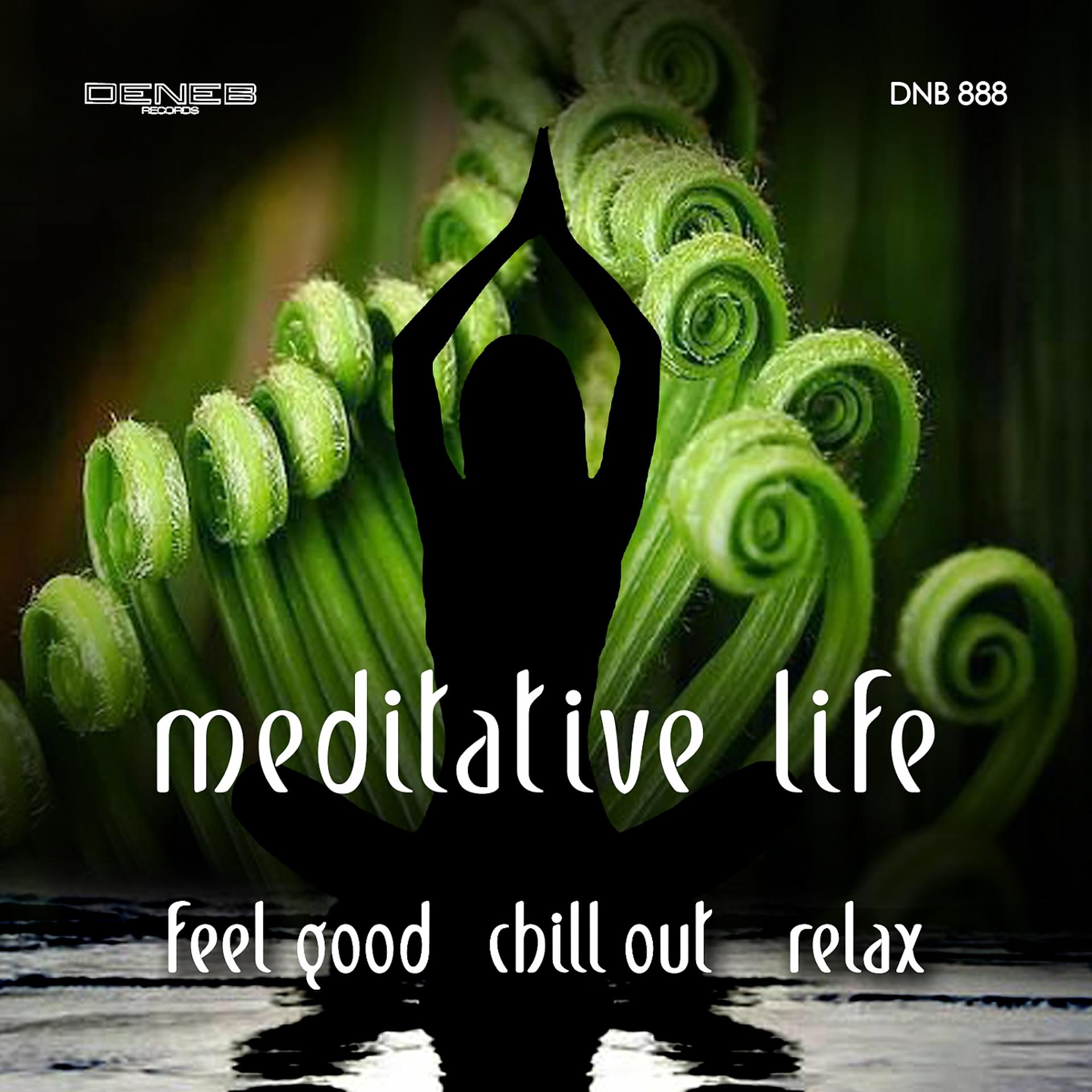 Постер альбома Meditative Life