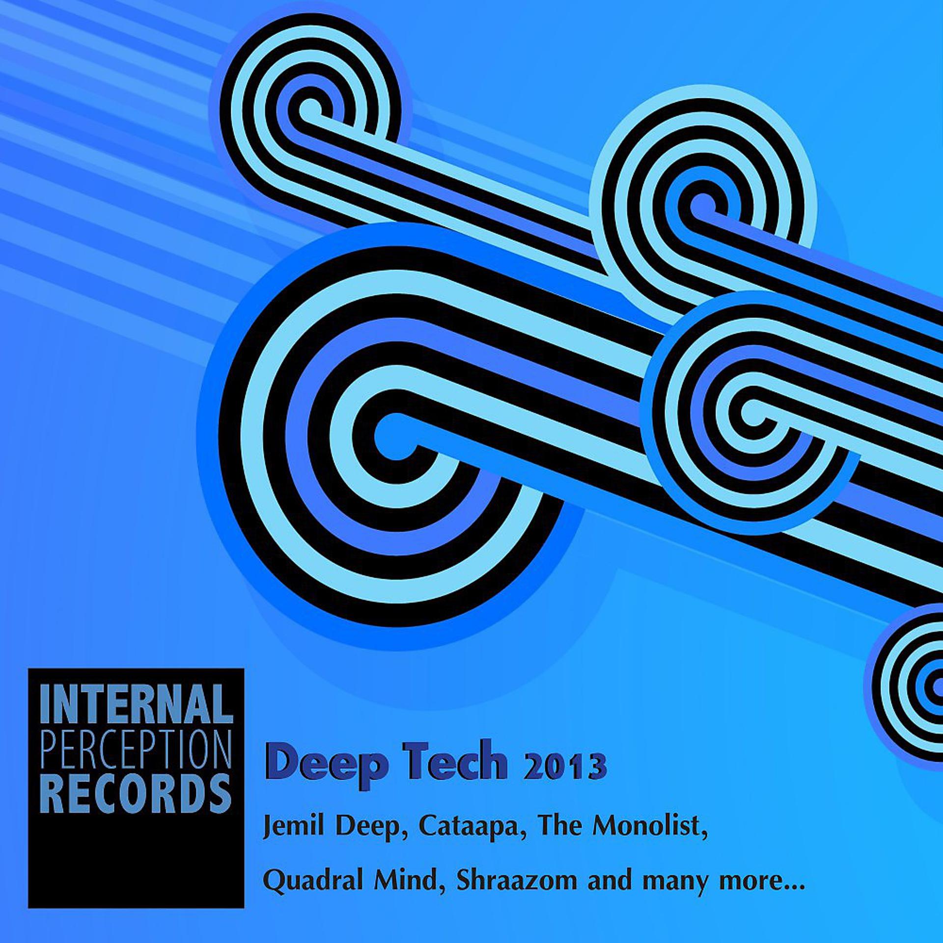 Постер альбома Deep Tech 2013