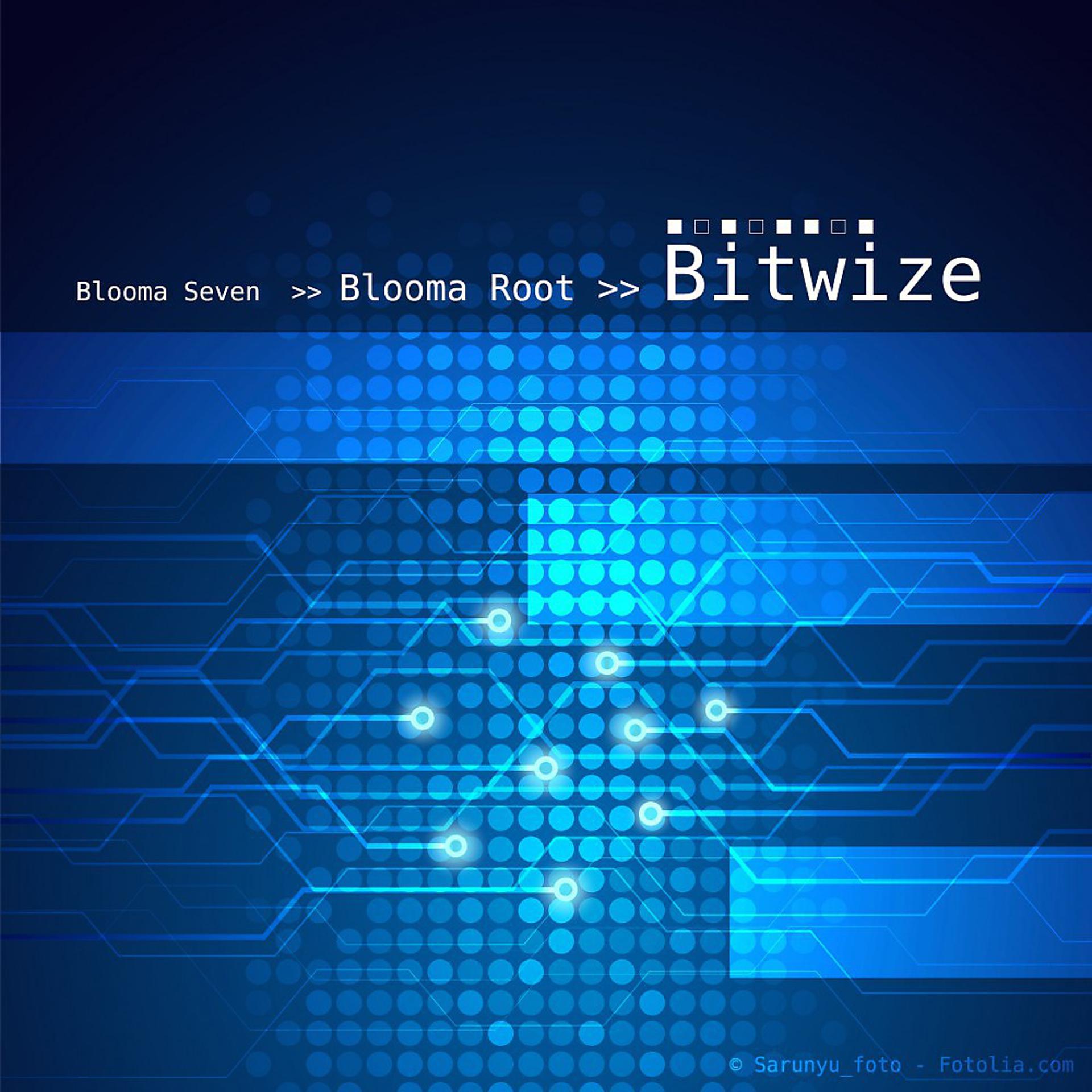 Постер альбома Bitwize