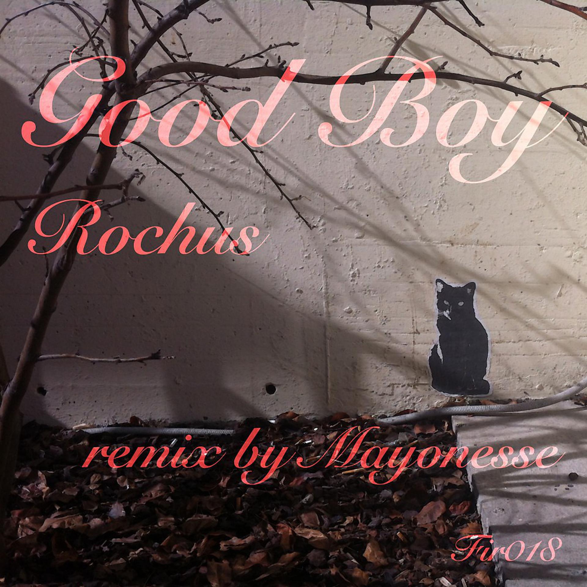 Постер альбома Good Boy