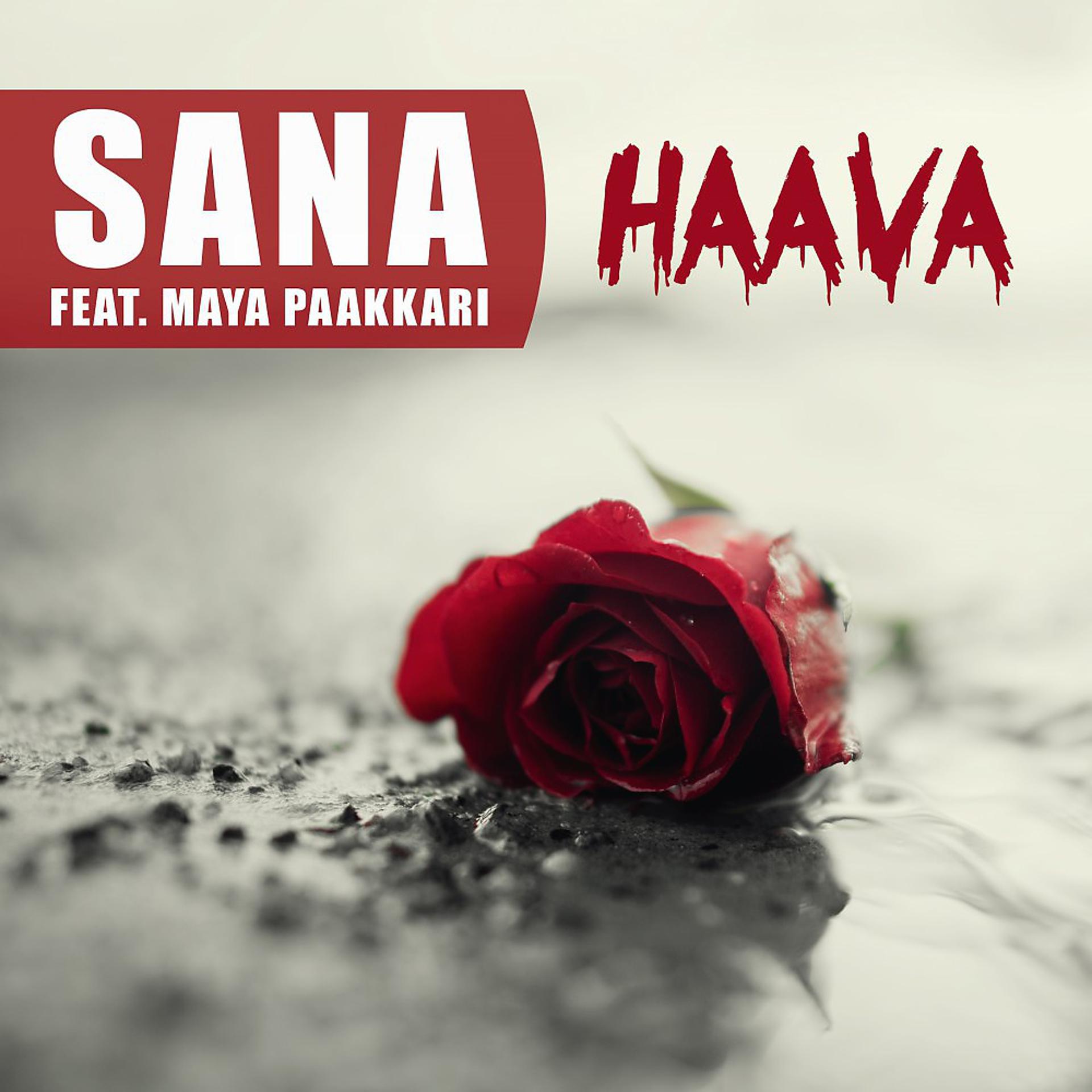 Постер альбома Haava