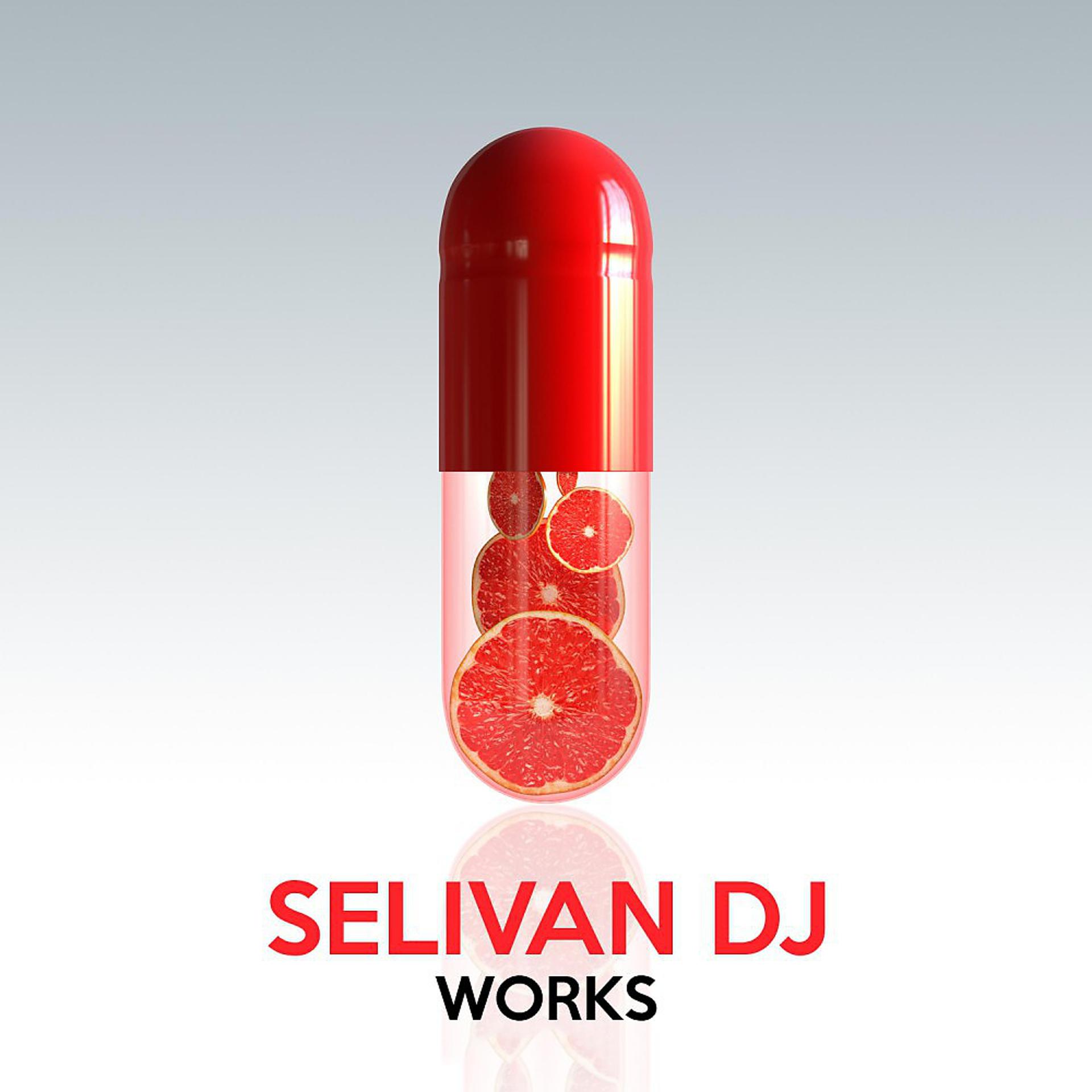 Постер альбома Selivan DJ Works