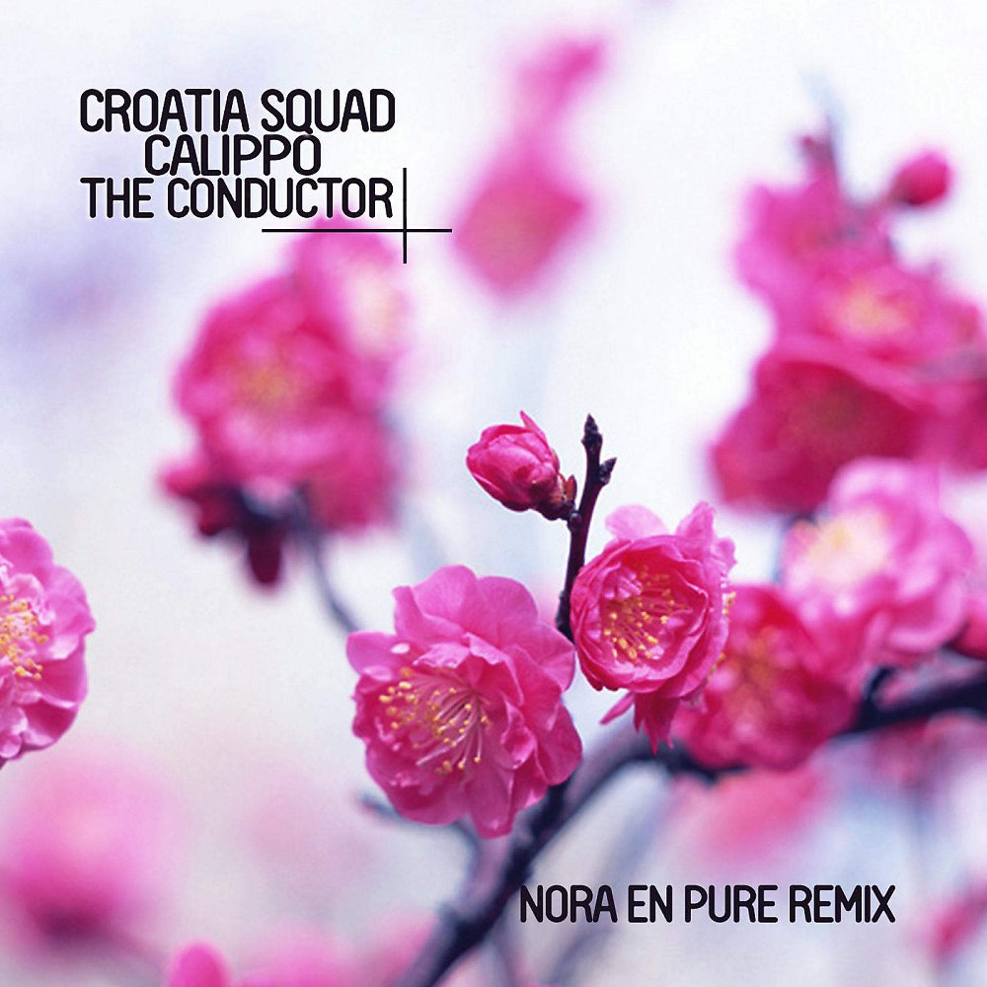Постер альбома The Conductor (Nora en Pure Remixes)