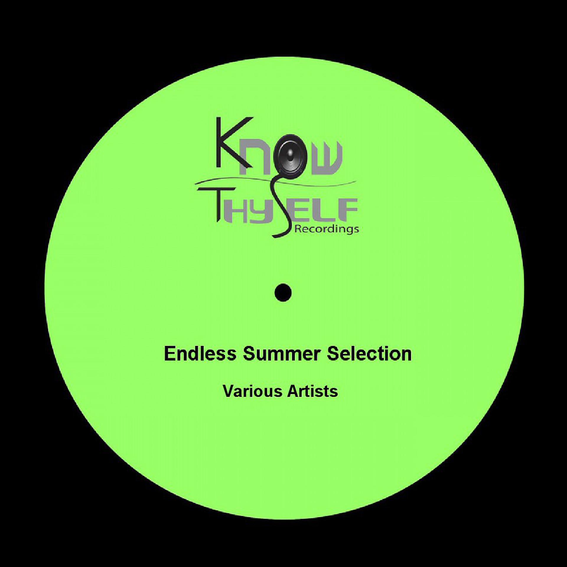 Постер альбома Endless Summer Selection