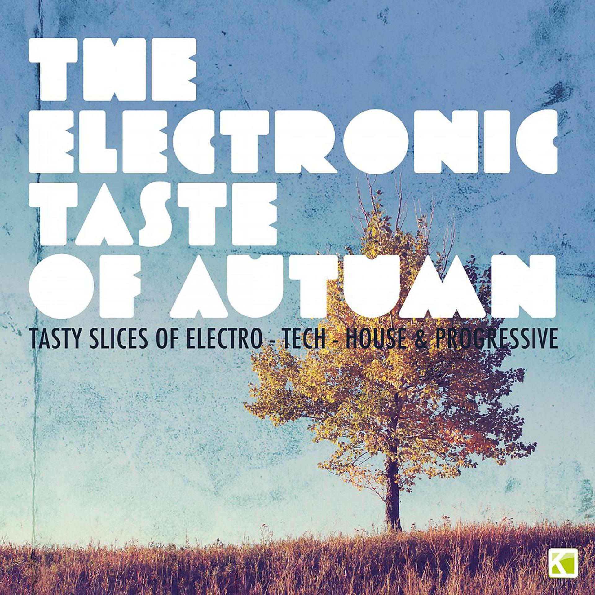 Постер альбома The Electronic Taste of Autumn - Tasty Slices of Electro-Tech-House & Progressive