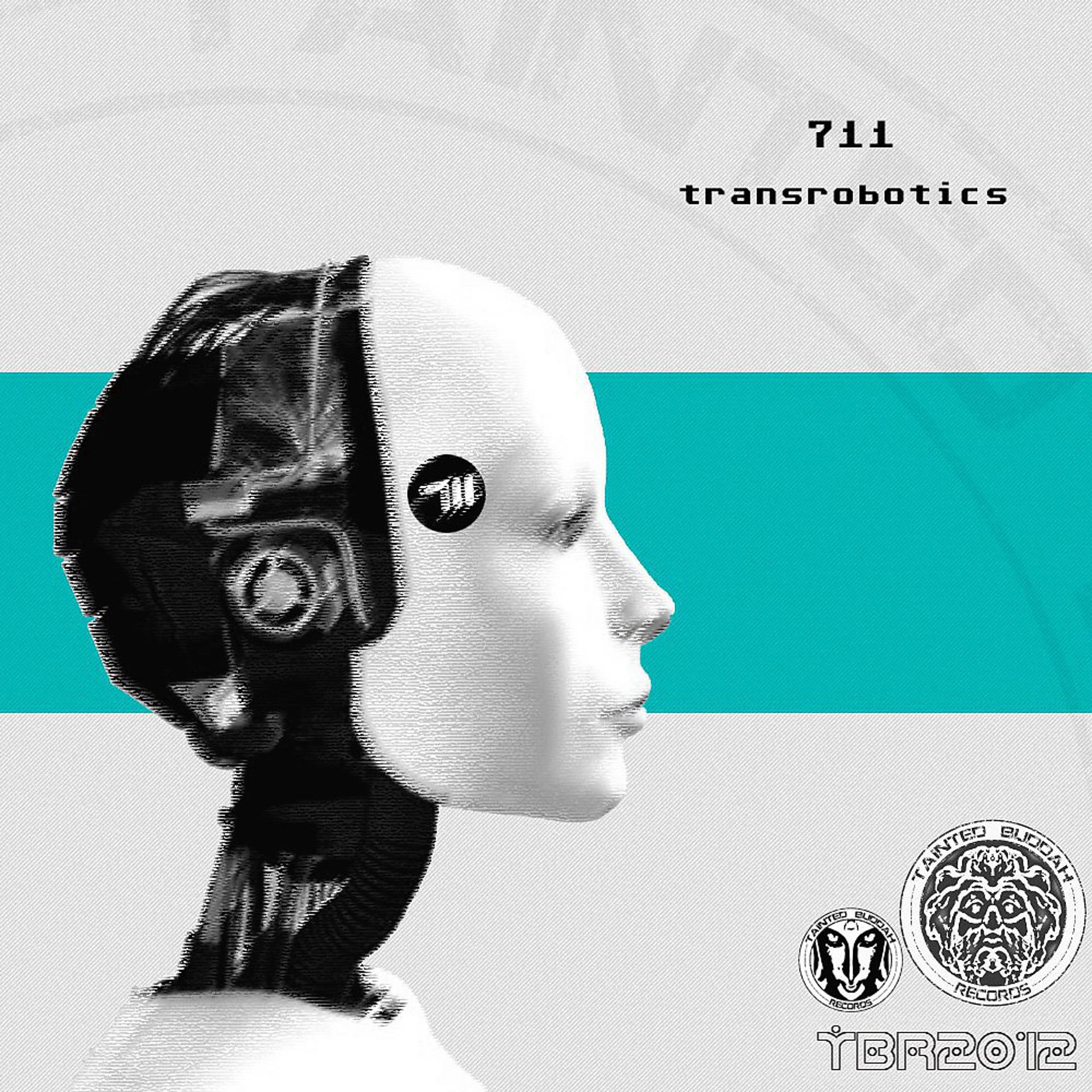Постер альбома Transrobotics