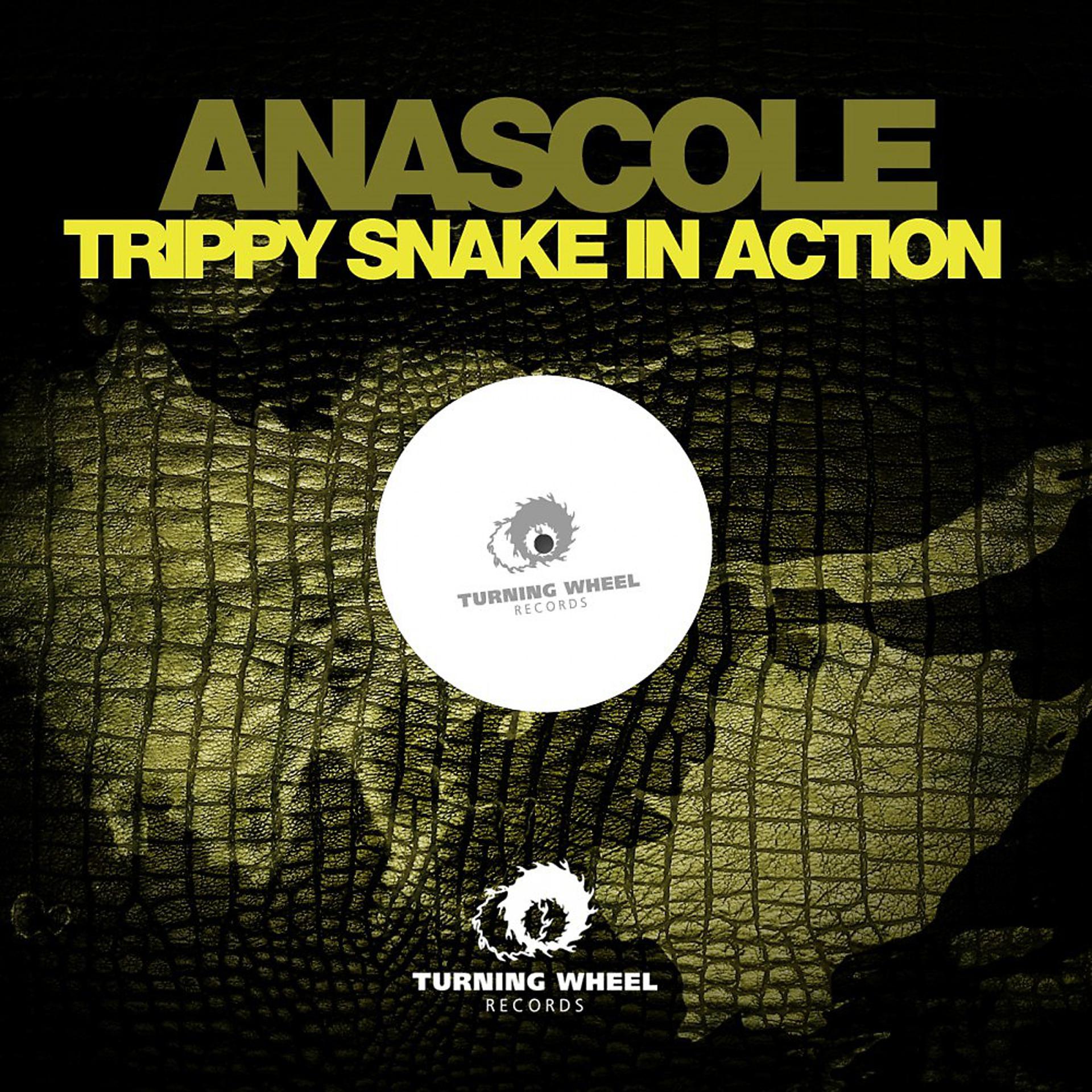 Постер альбома Trippy Snake in Action