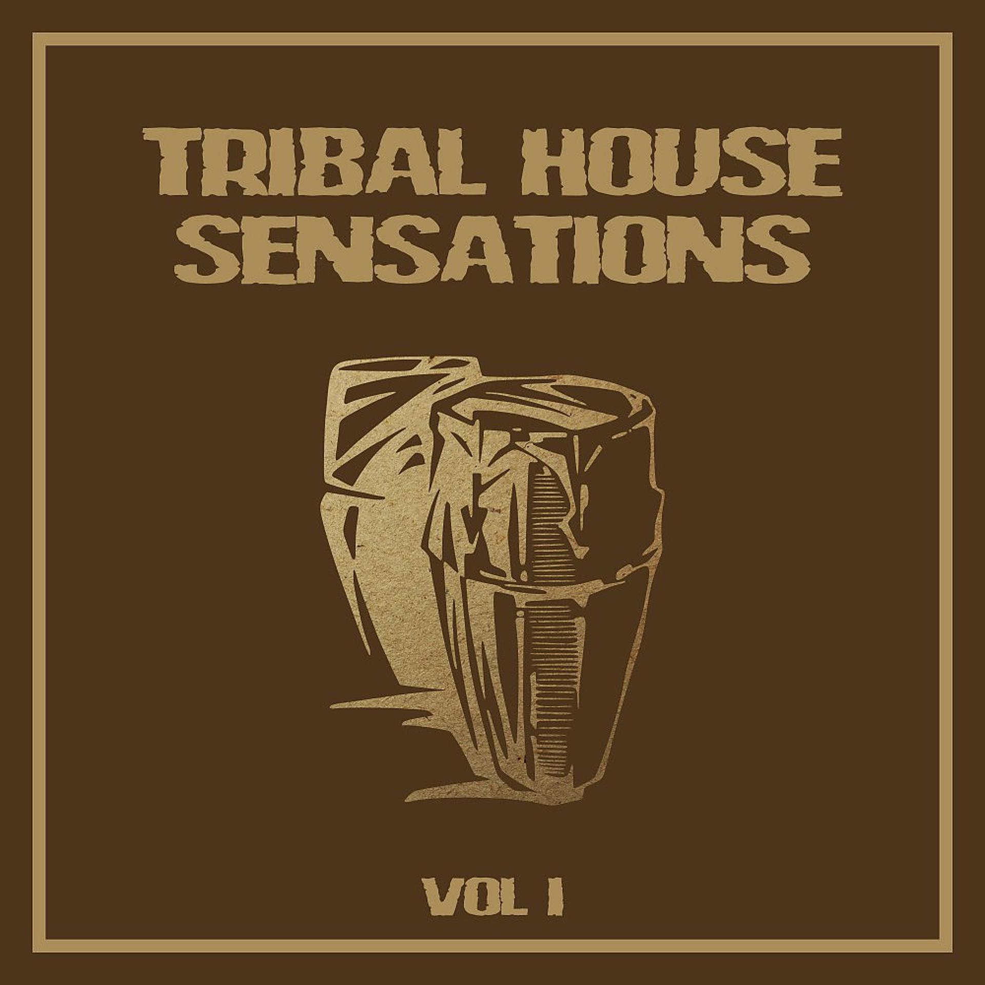 Постер альбома Tribal House Sensations, Vol. 1