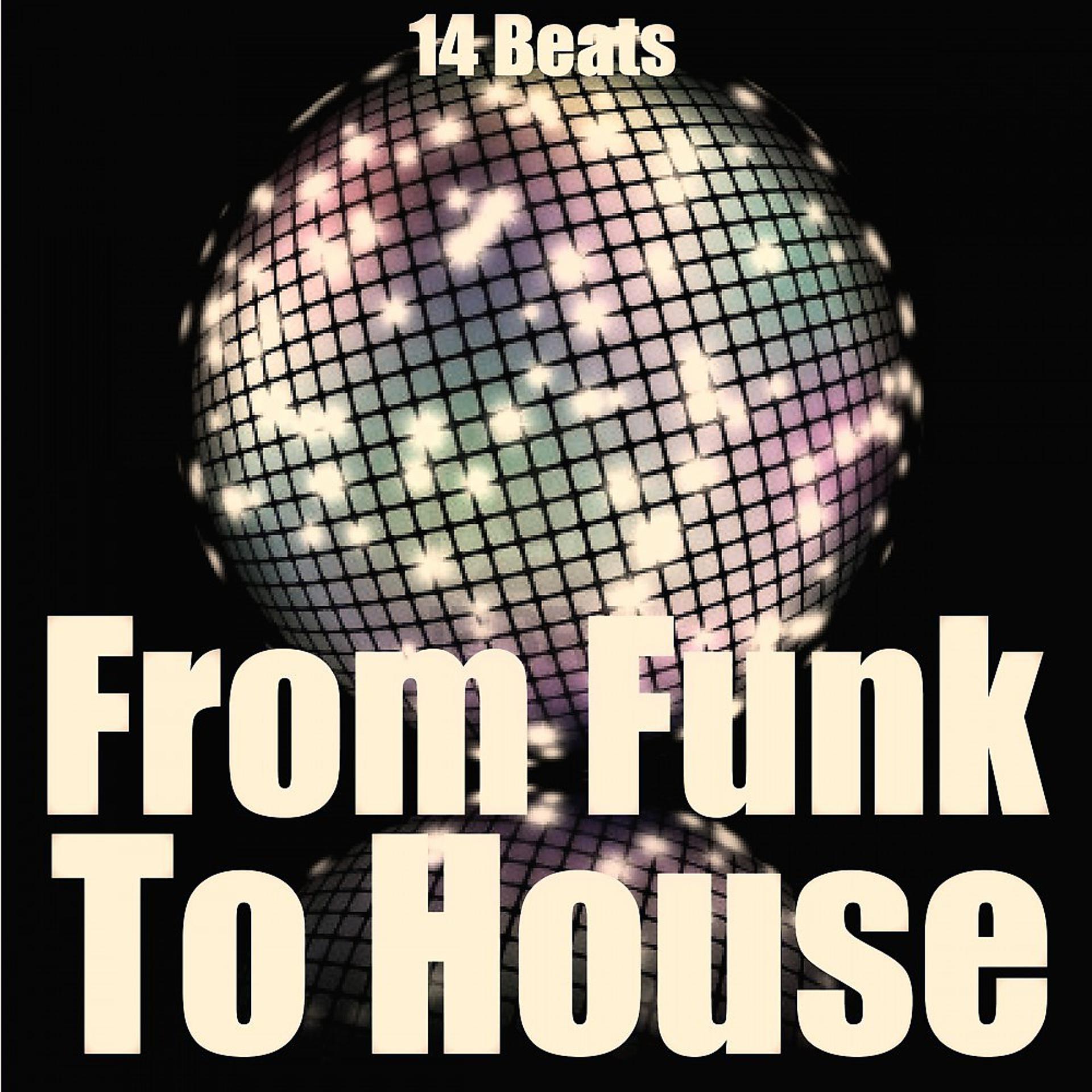 Постер альбома From Funk to House