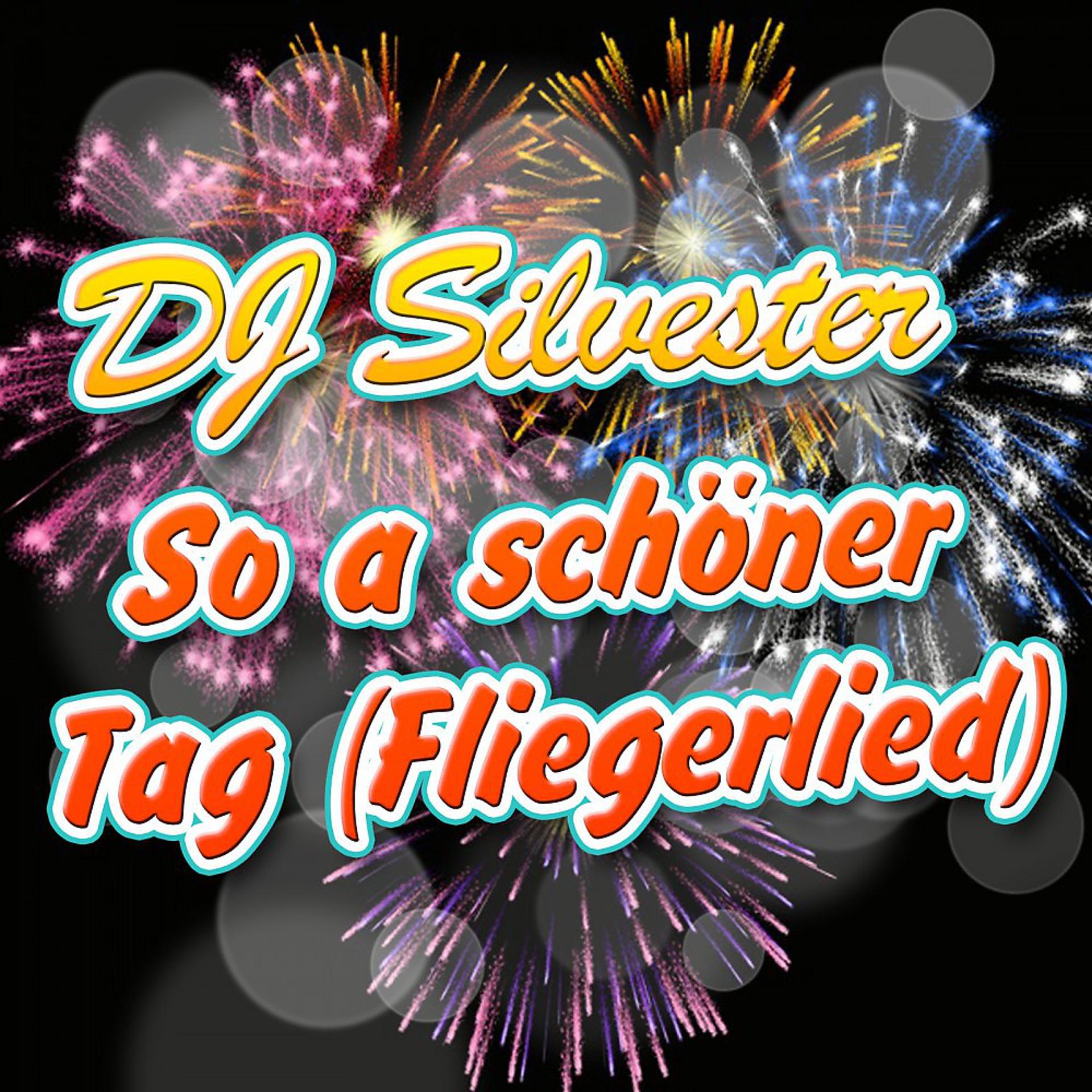 Постер альбома So a schöner Tag (Fliegerlied)