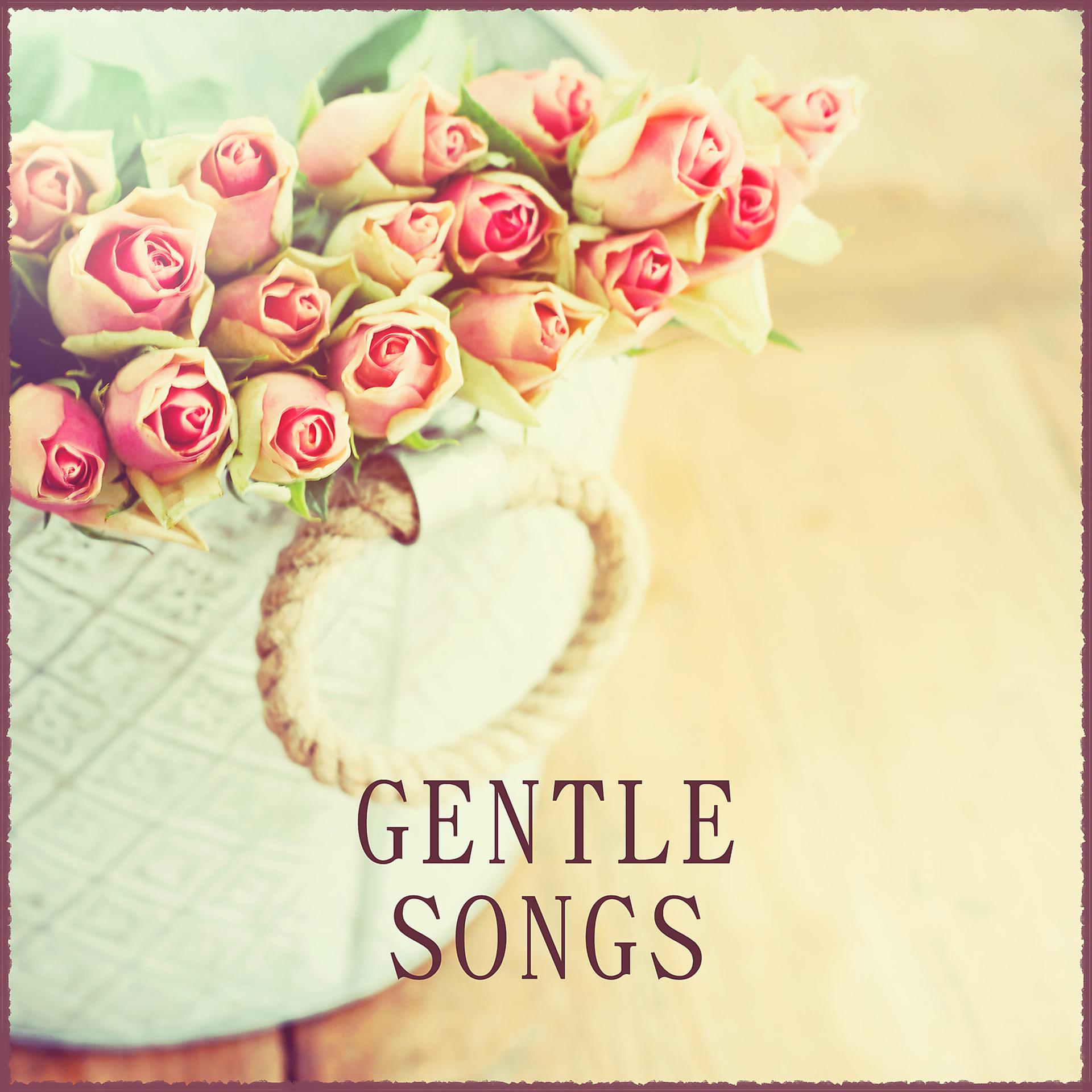 Постер альбома Gentle Songs – Music for Relaxation, Calm Tracks, Deep Rest, Music After Work