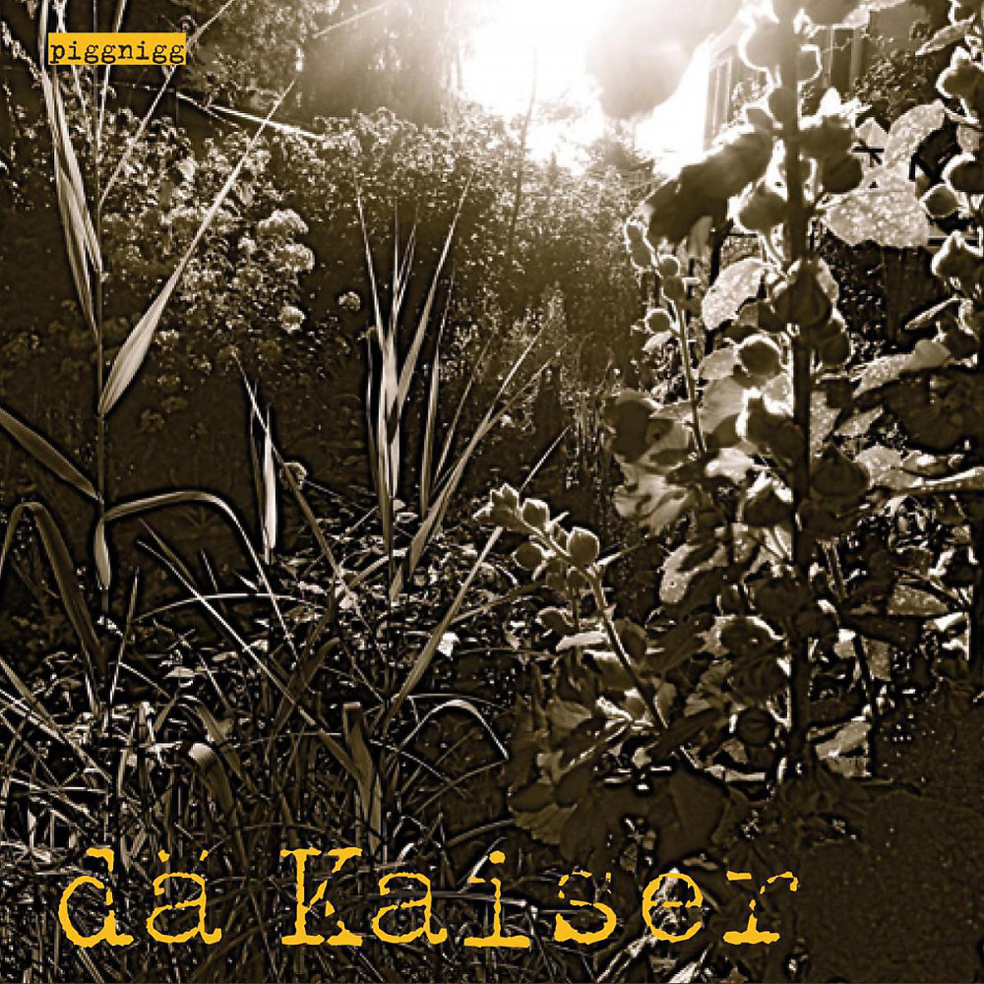 Постер альбома Dä Kaiser