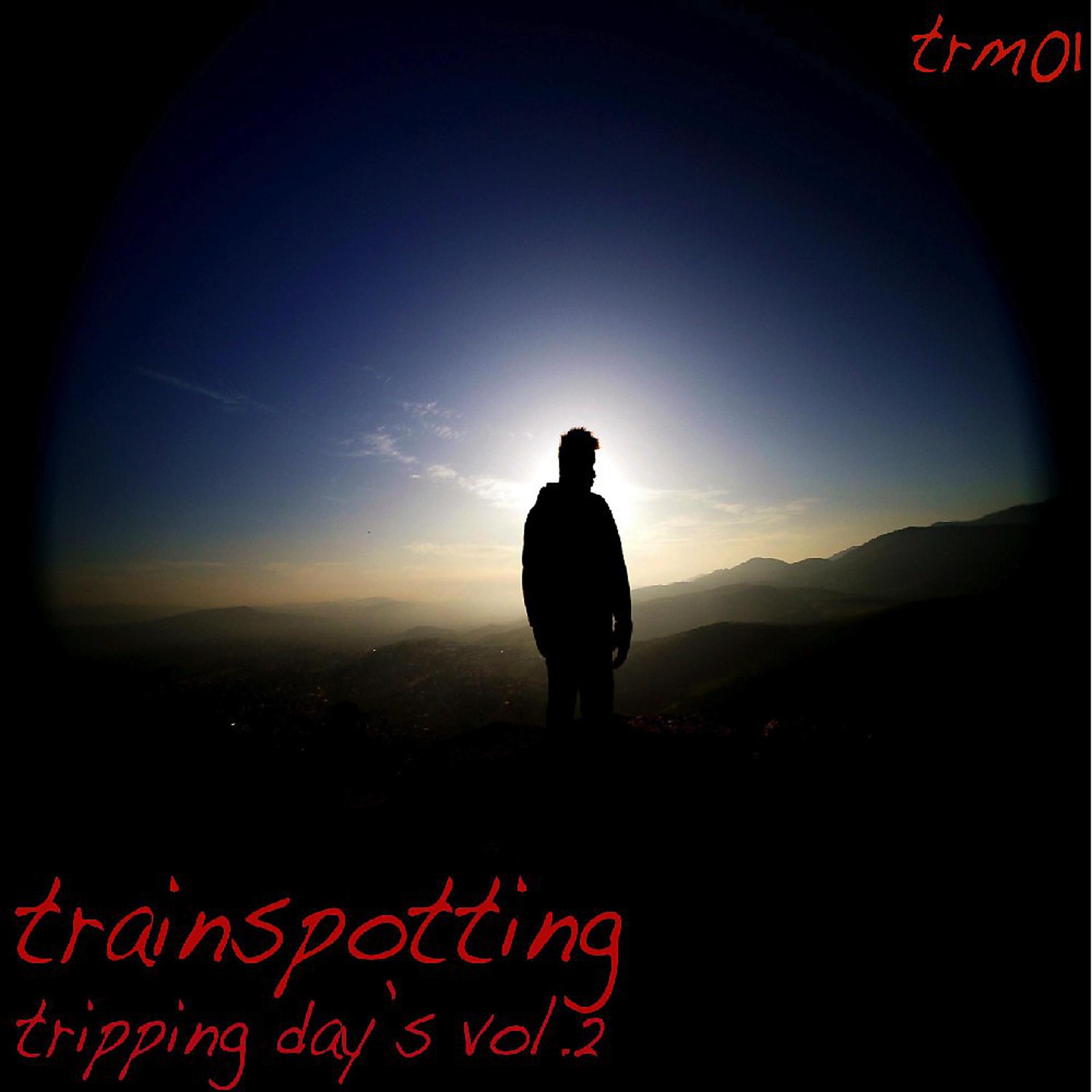 Постер альбома Tripping Day's Vol. 2
