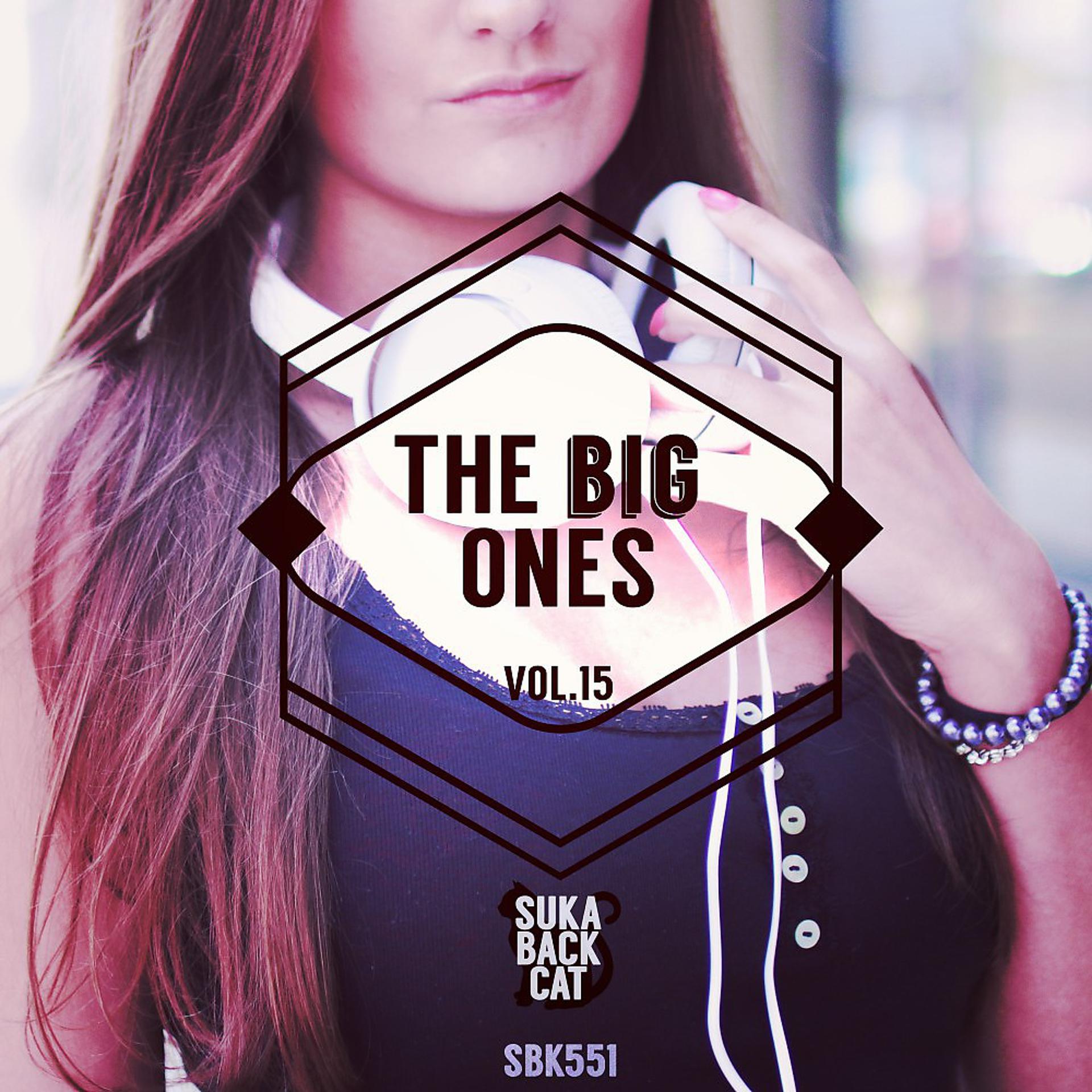 Постер альбома The Big Ones, Vol. 15