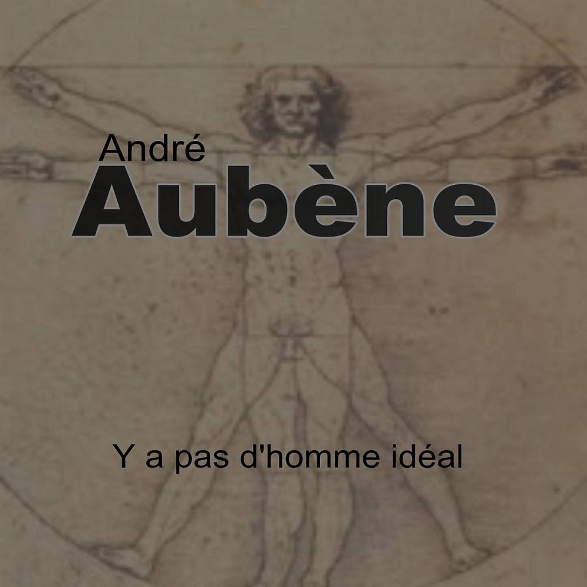 Постер альбома Y a pas d'homme idéal (Remix Edit)