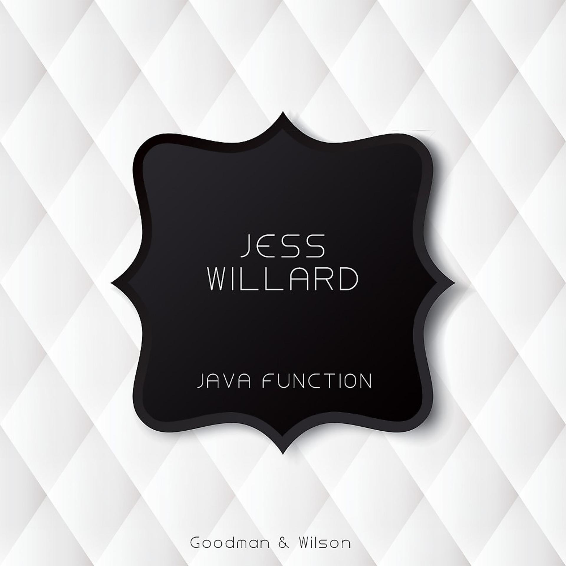 Постер альбома Java Function