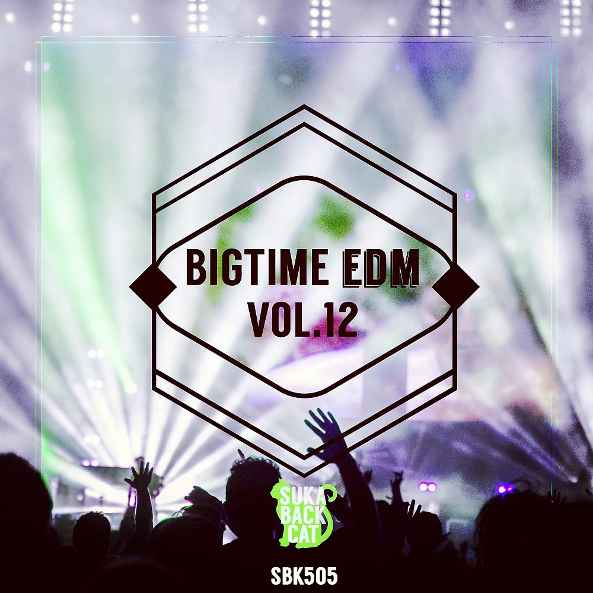 Постер альбома Bigtime EDM, Vol. 12
