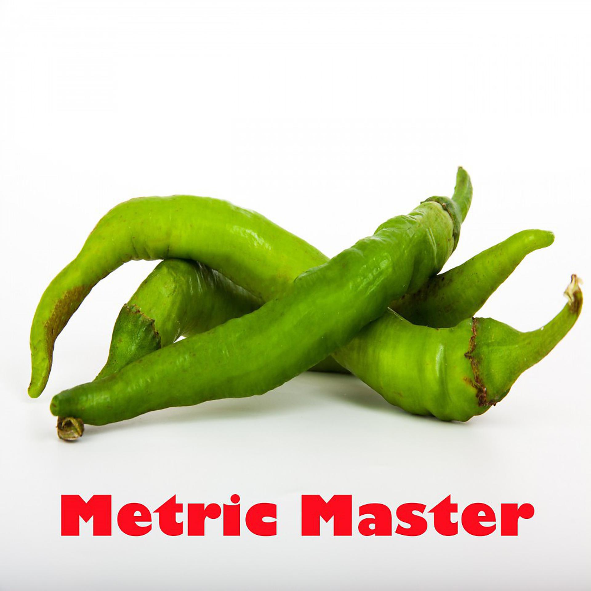Постер альбома Metric Master