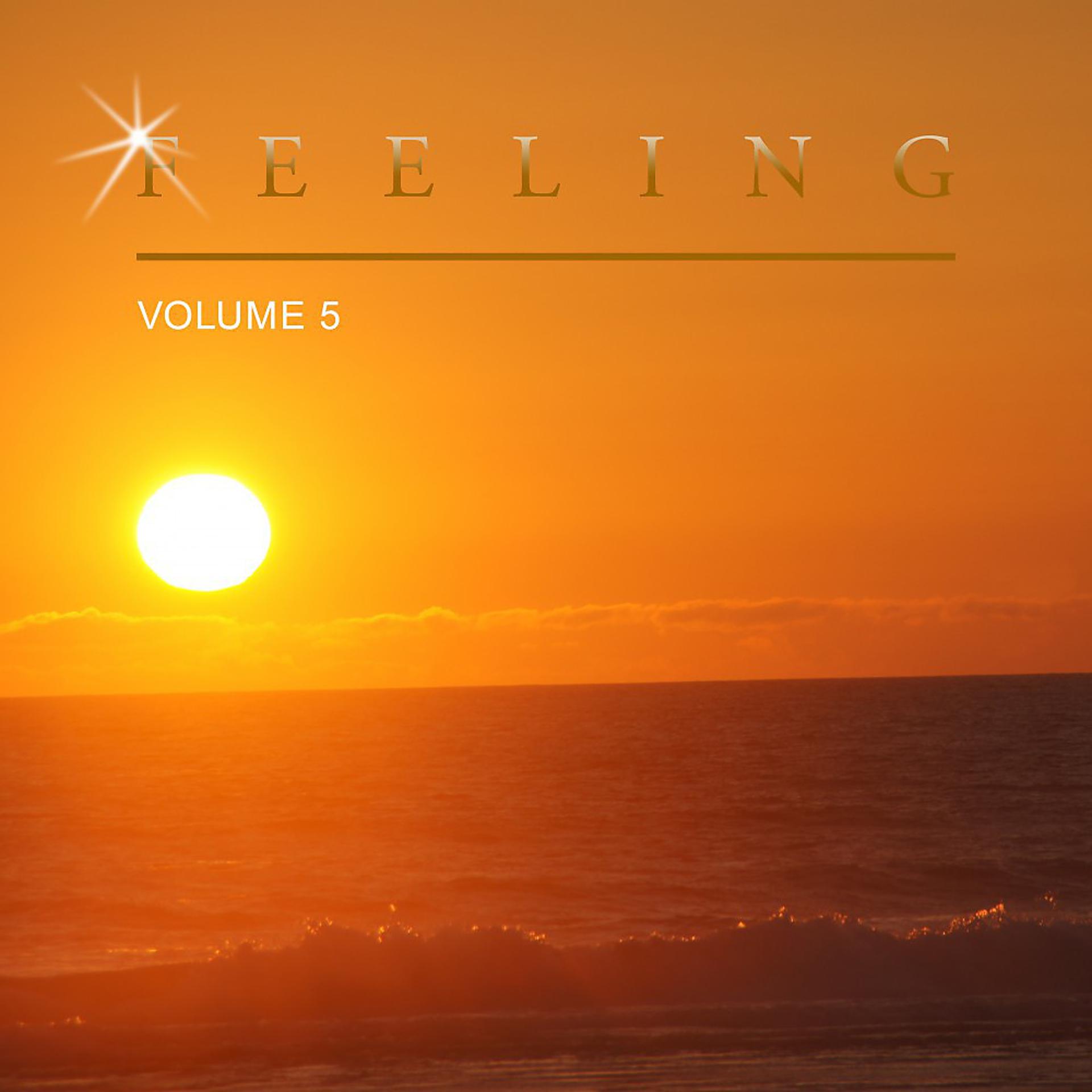 Постер альбома Feeling, Vol. 5