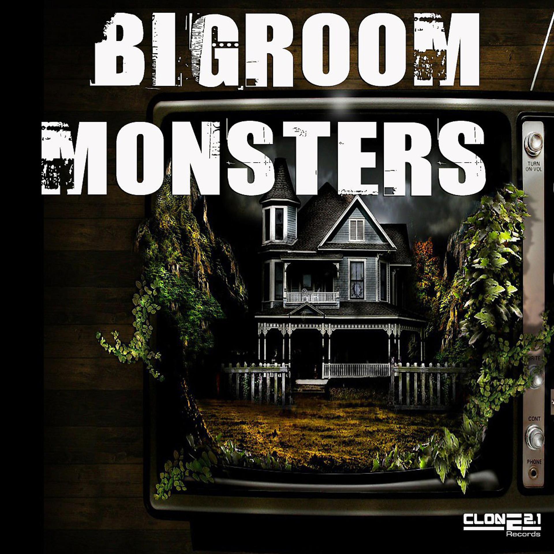 Постер альбома Bigroom Monsters