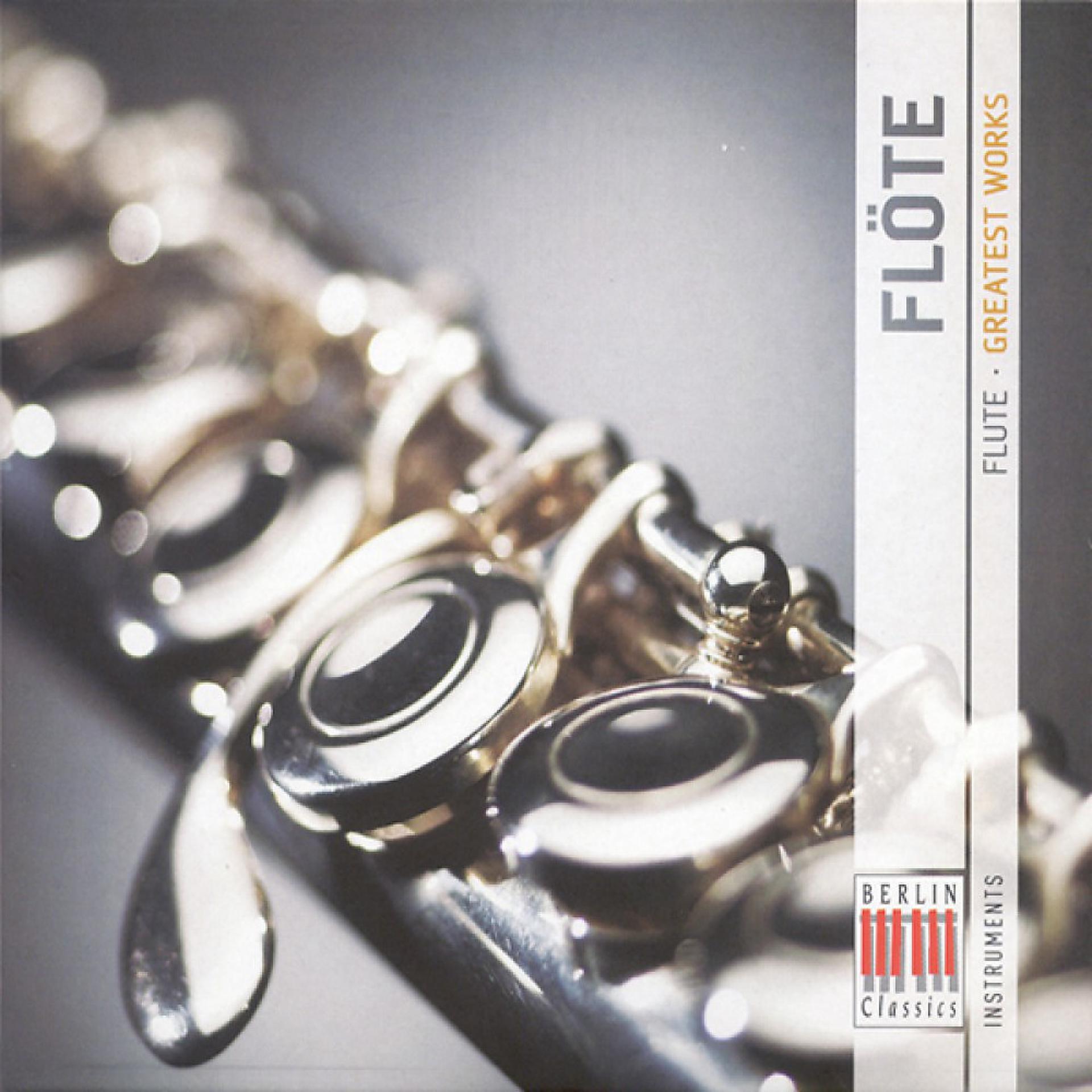Постер альбома Flute Greatest Works (Greatest Works)