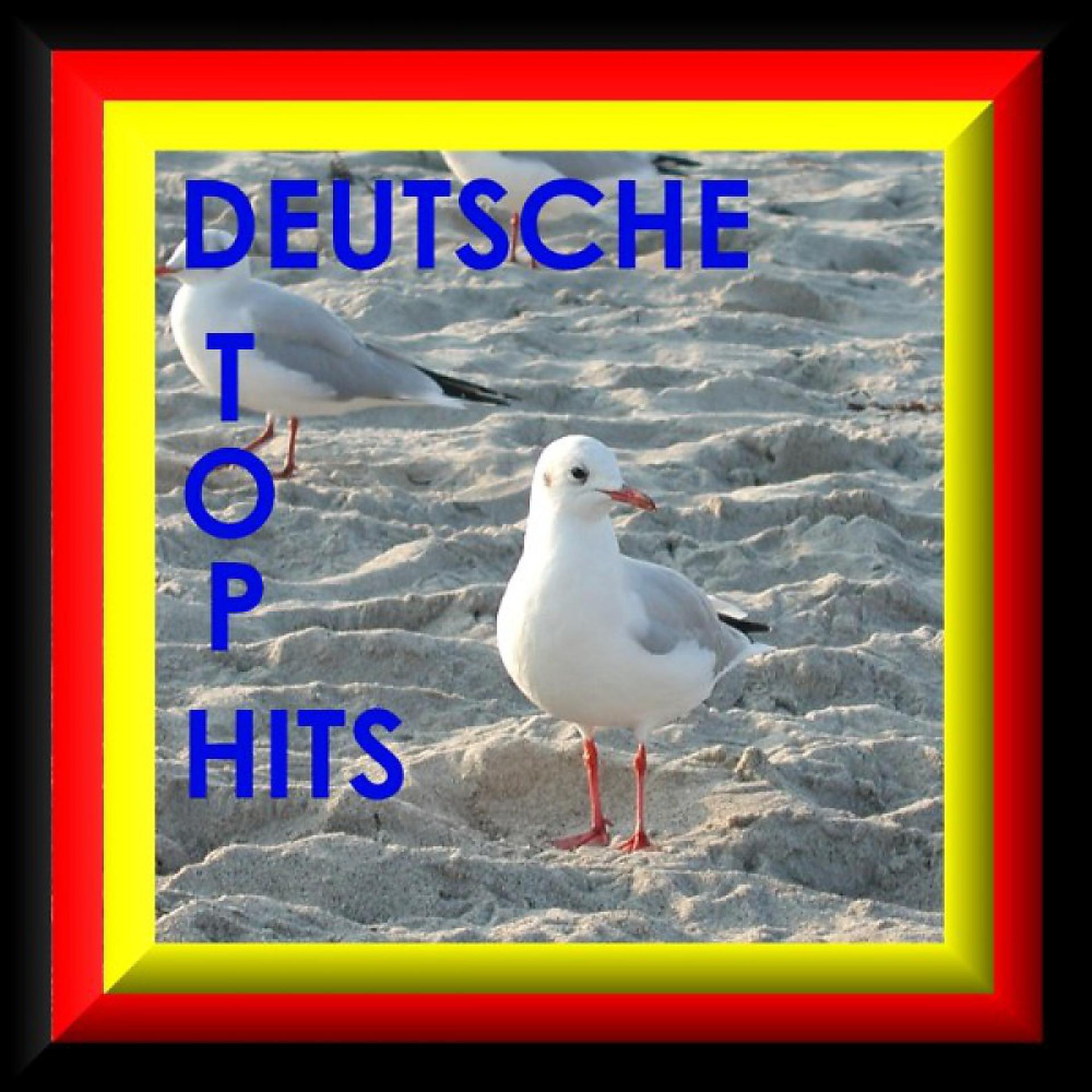 Постер альбома Deutsche Top Hits