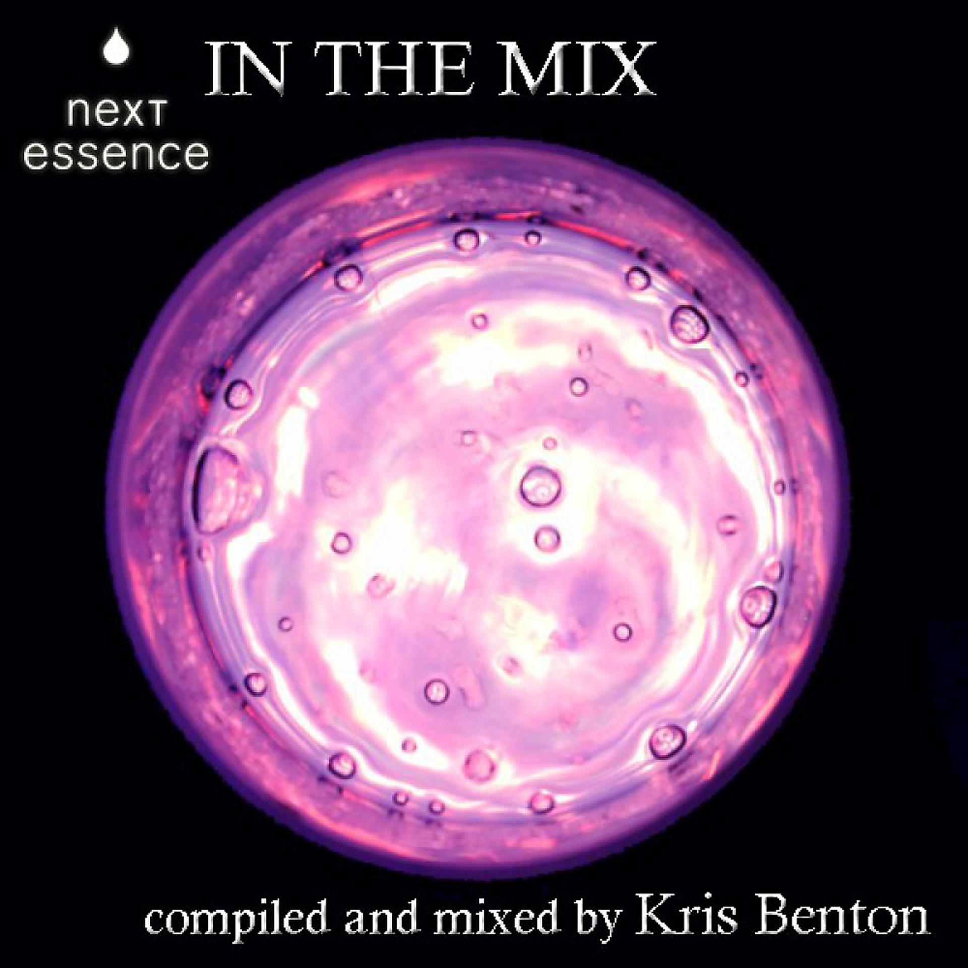 Постер альбома Next Essence in the Mix - Labelcompilation Vol. 1