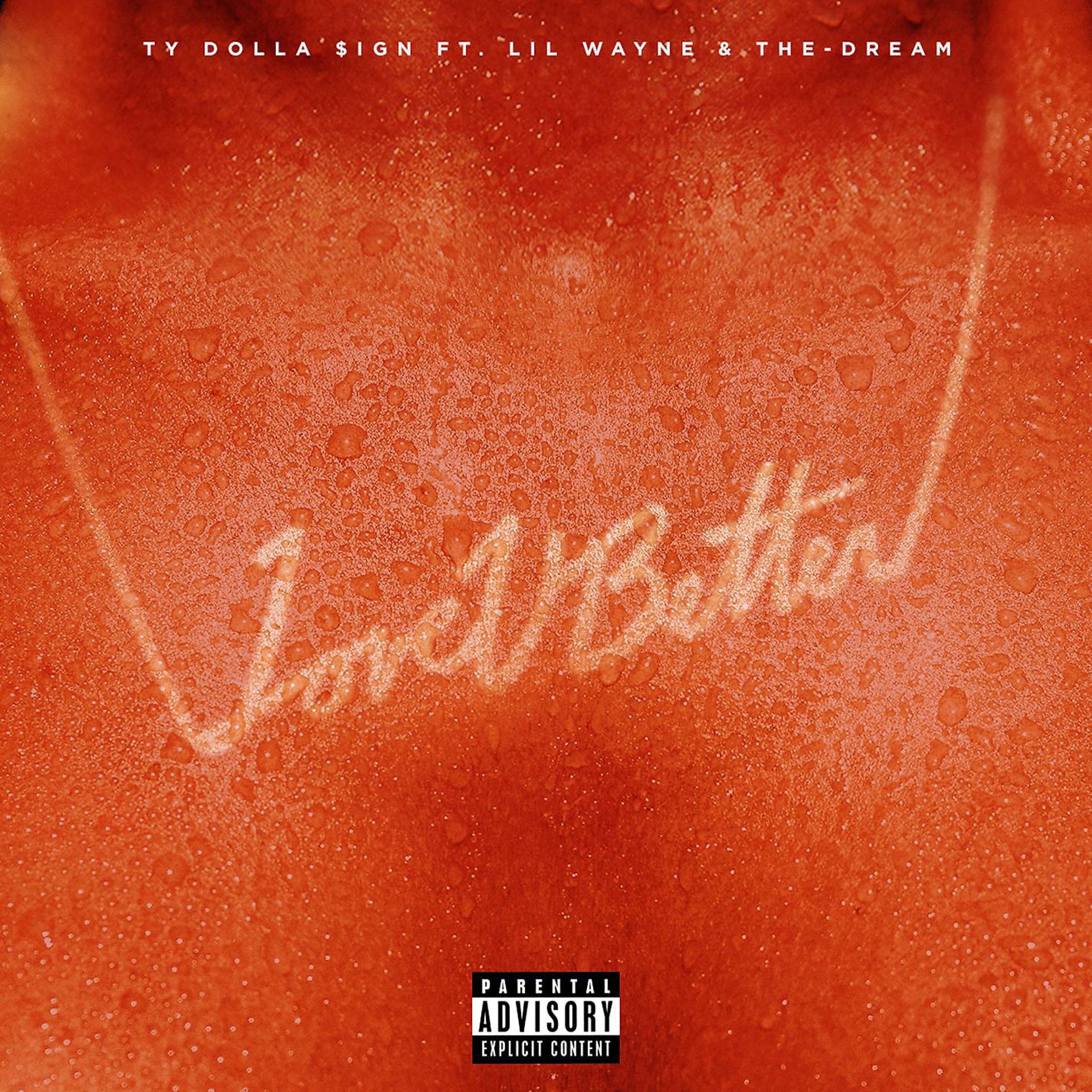 Постер альбома Love U Better (feat. Lil Wayne & The-Dream)