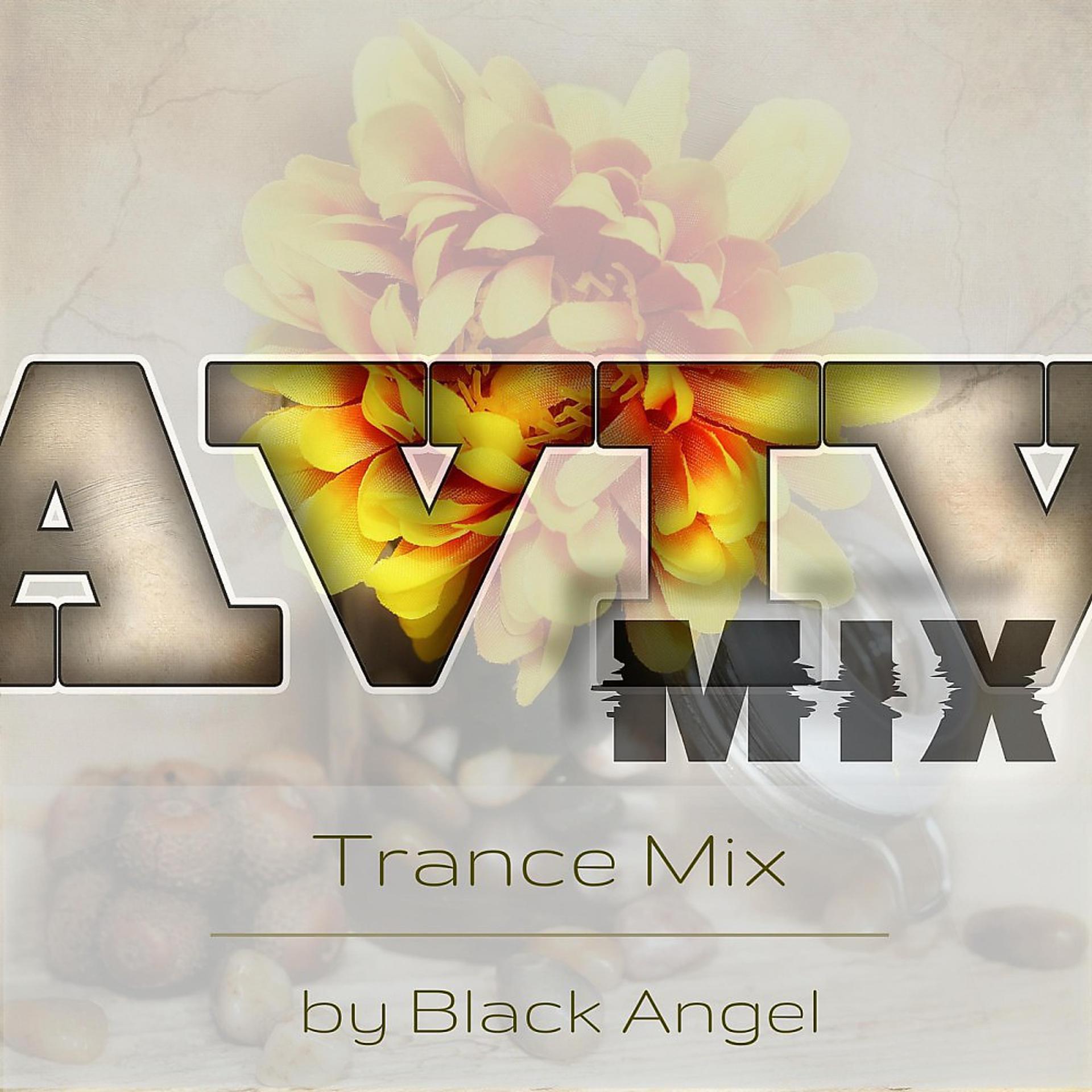 Постер альбома Trance Mix
